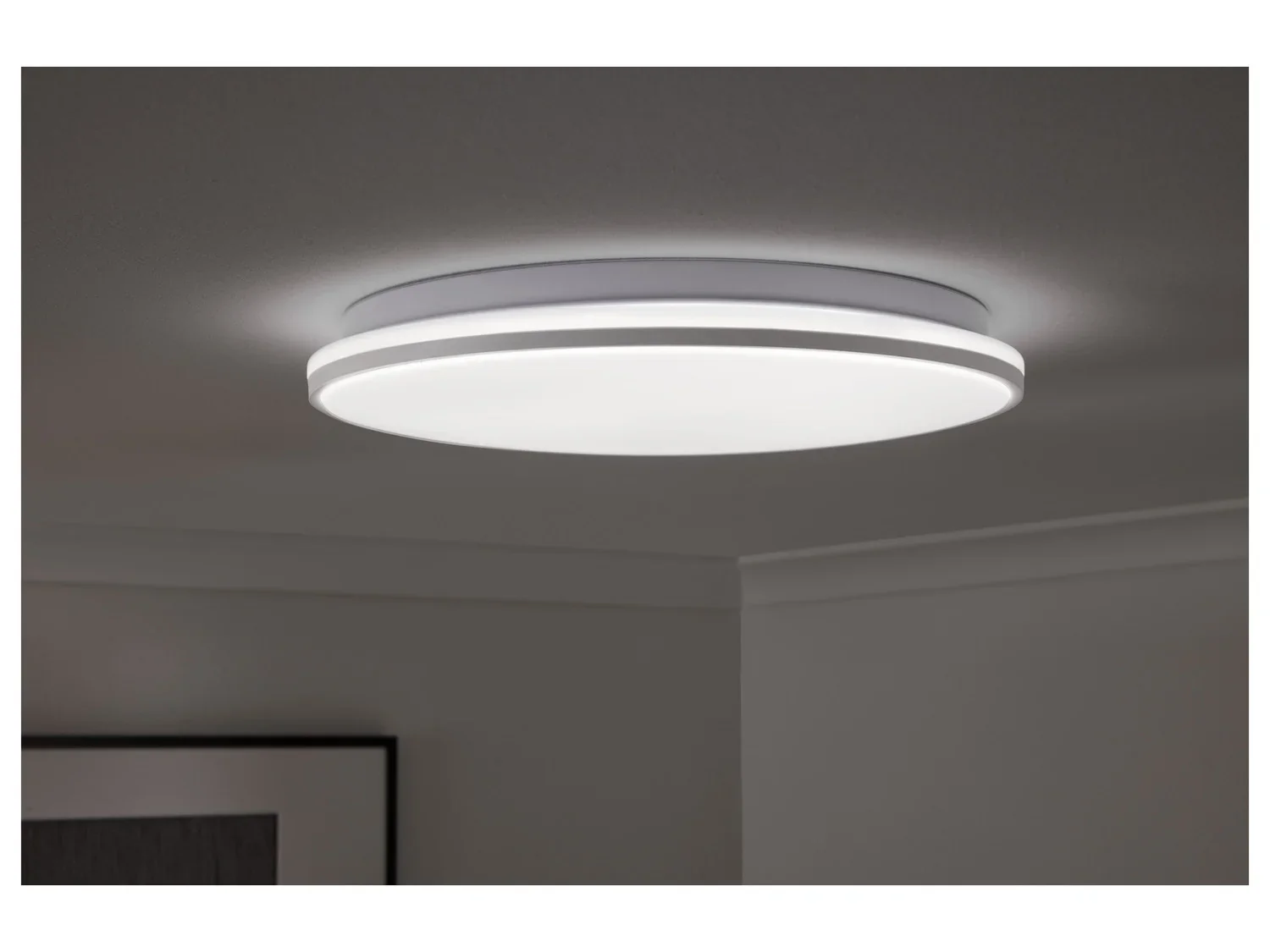 LIVARNO home Plafonnier  LED, 14,5 W