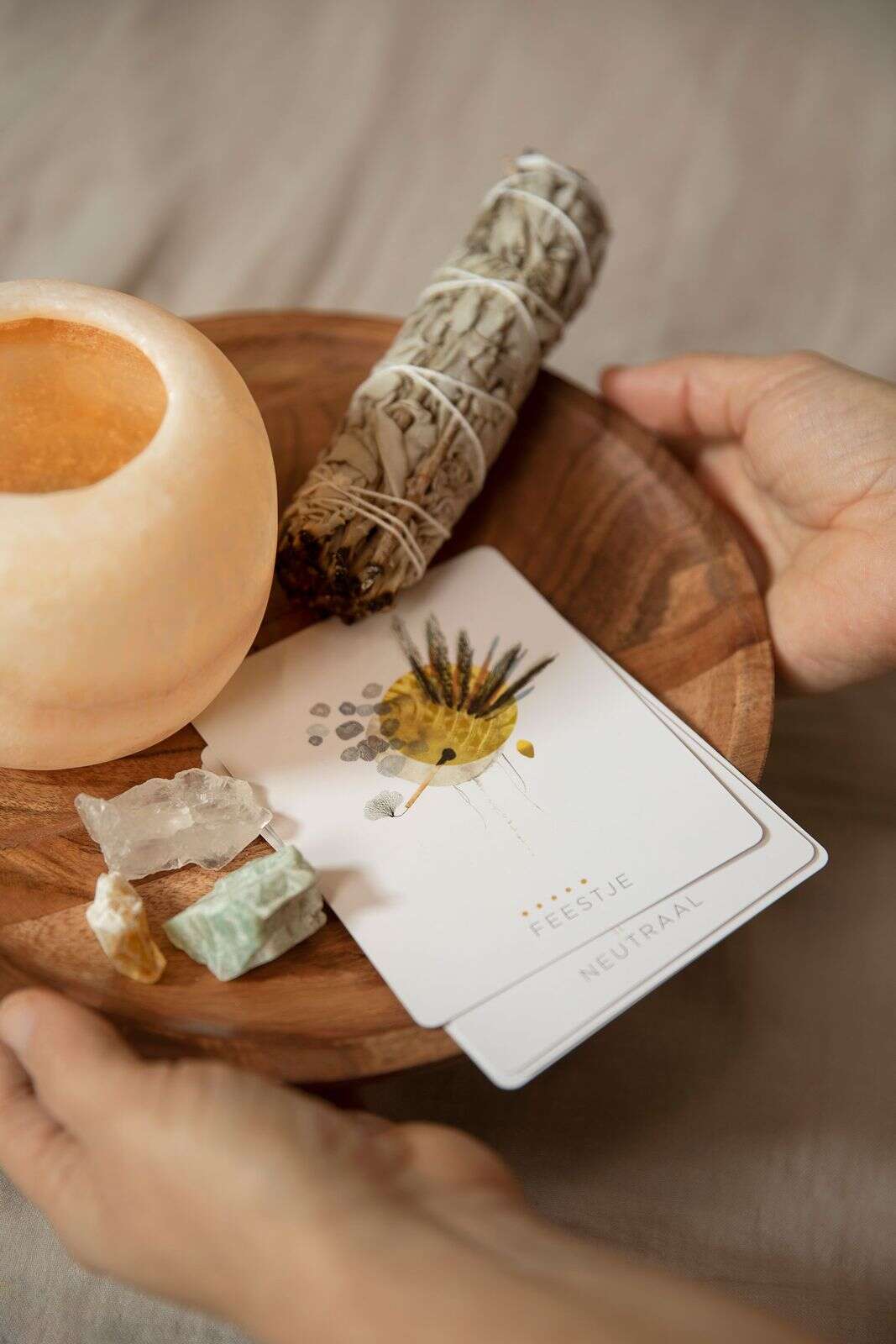 Bundel salie bladeren