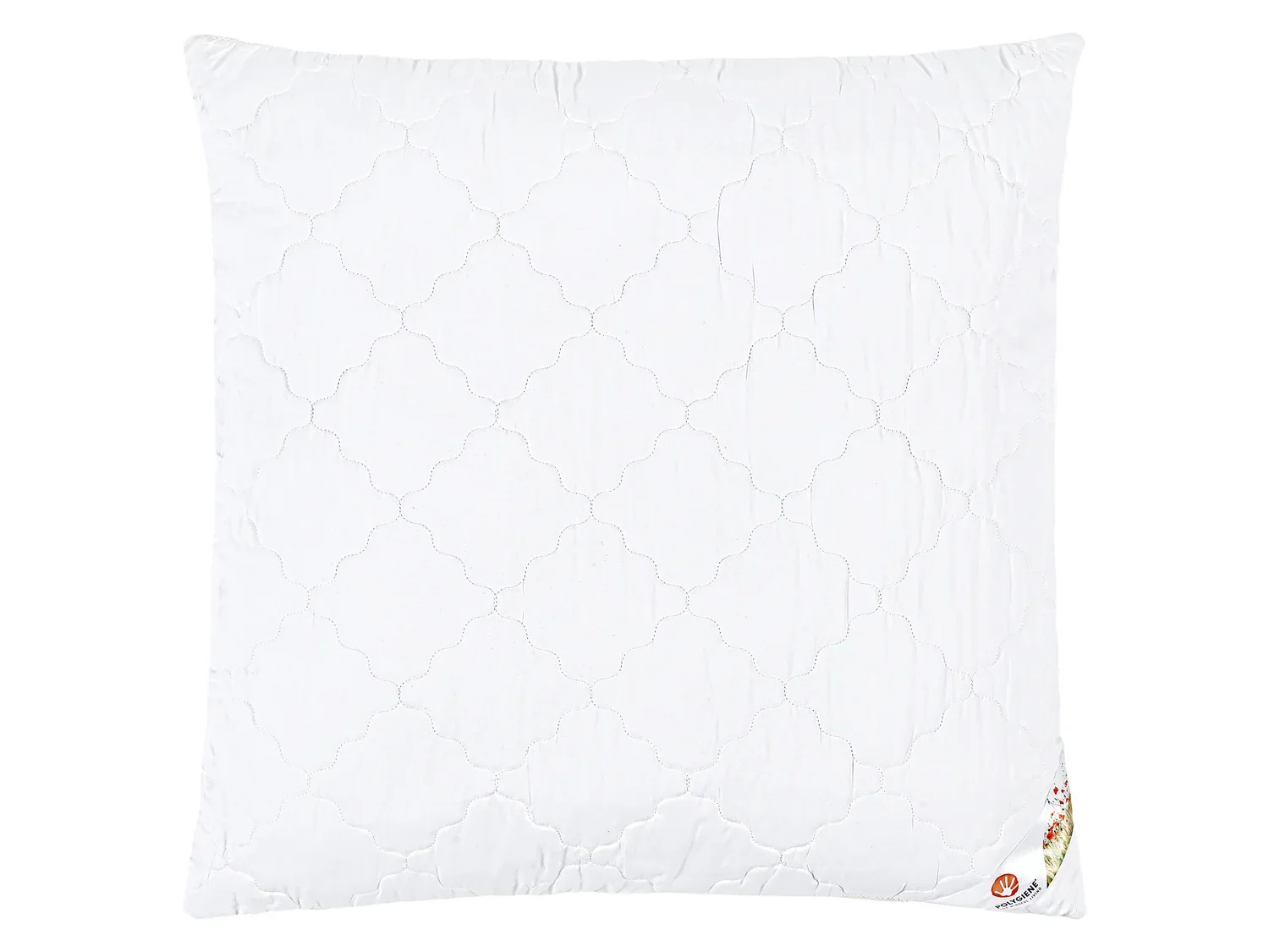 LIVARNO home Oreiller Polygiene, 60 x 60 cm