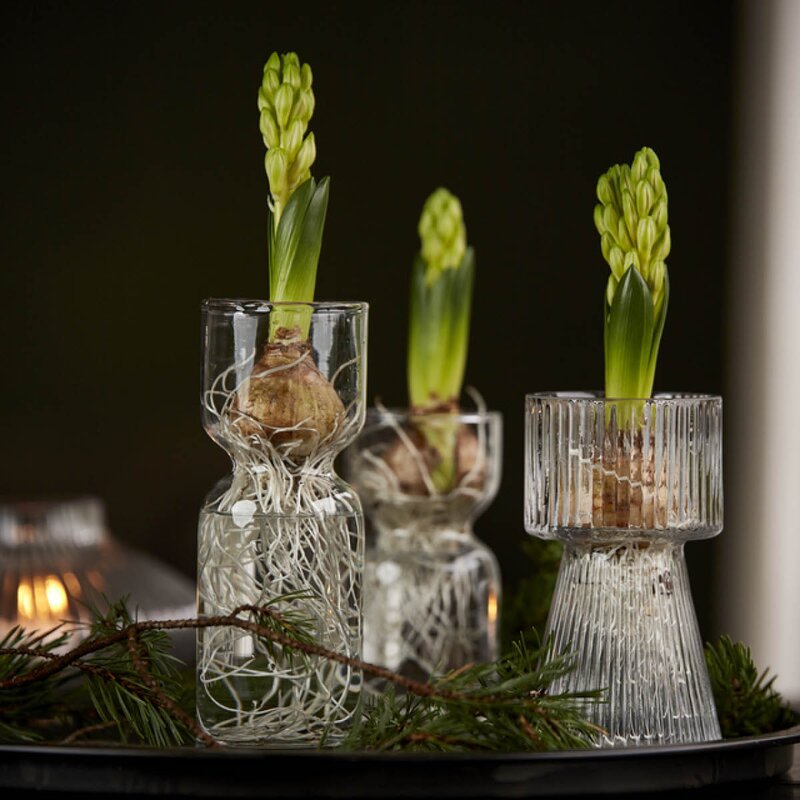 Rette svibelvase 15 cm klar