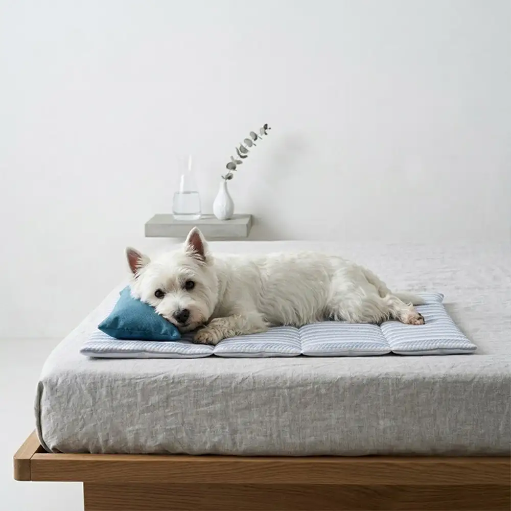 Refreshing Striped Cooling Ice Silk Non-Slip Dog Mat with Pillow