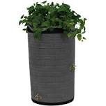 Good Ideas IMP - D50 - DAR Impressions Downton Rain Saver Rain Barrel, 50 Gallon, Dark Granite, Slate - Dark Ribs