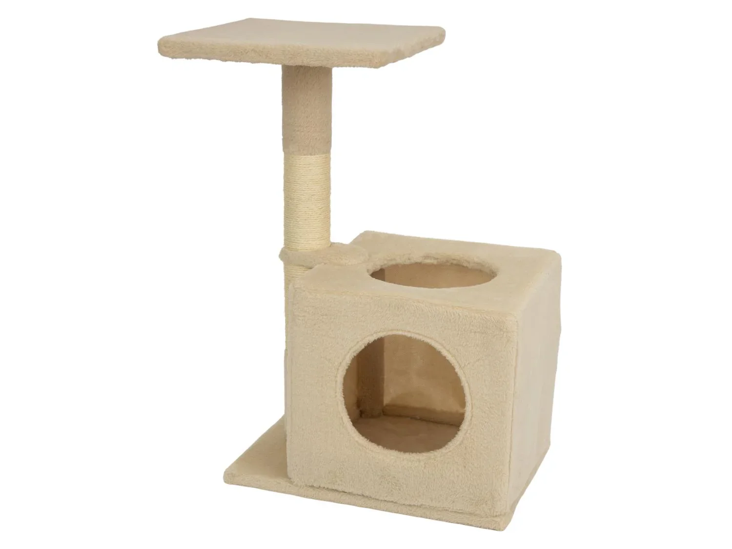 zoofari Arbre  chat