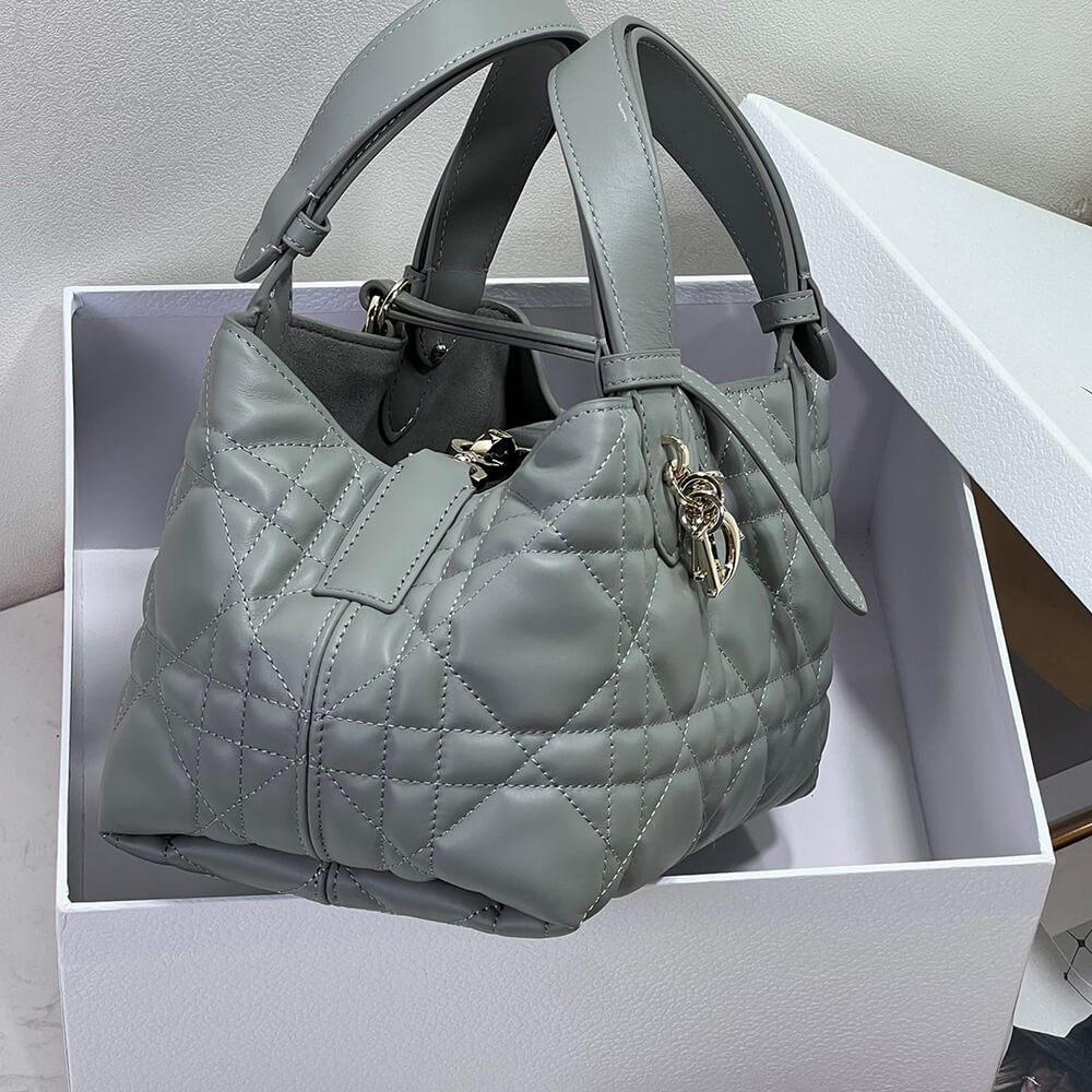 Small DIOR TOUJOURS BAG