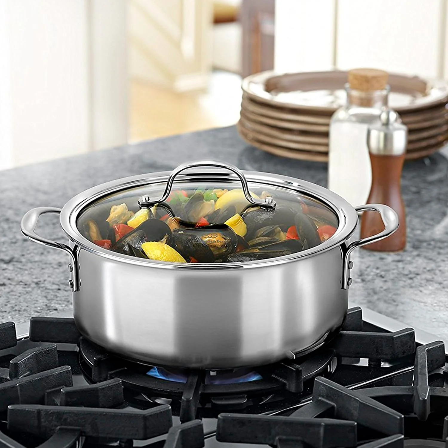 Calphalon Tri - Ply Stainless Steel Dutch Oven with Cover, 5 QT