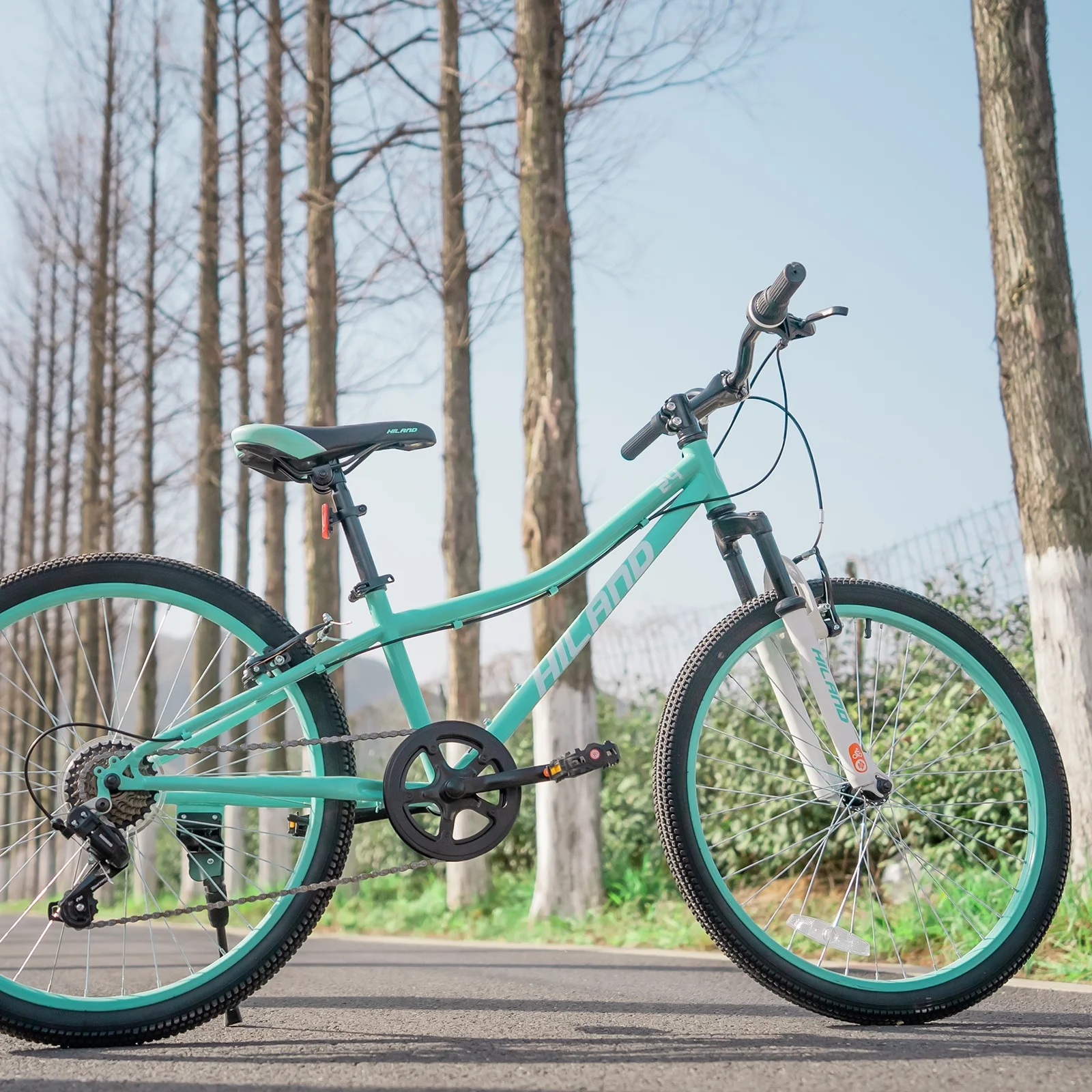 24 Inch Mountain Bike, Front Suspension Fork Bicycles for Adults Multiple Colors(Green) - Image 8