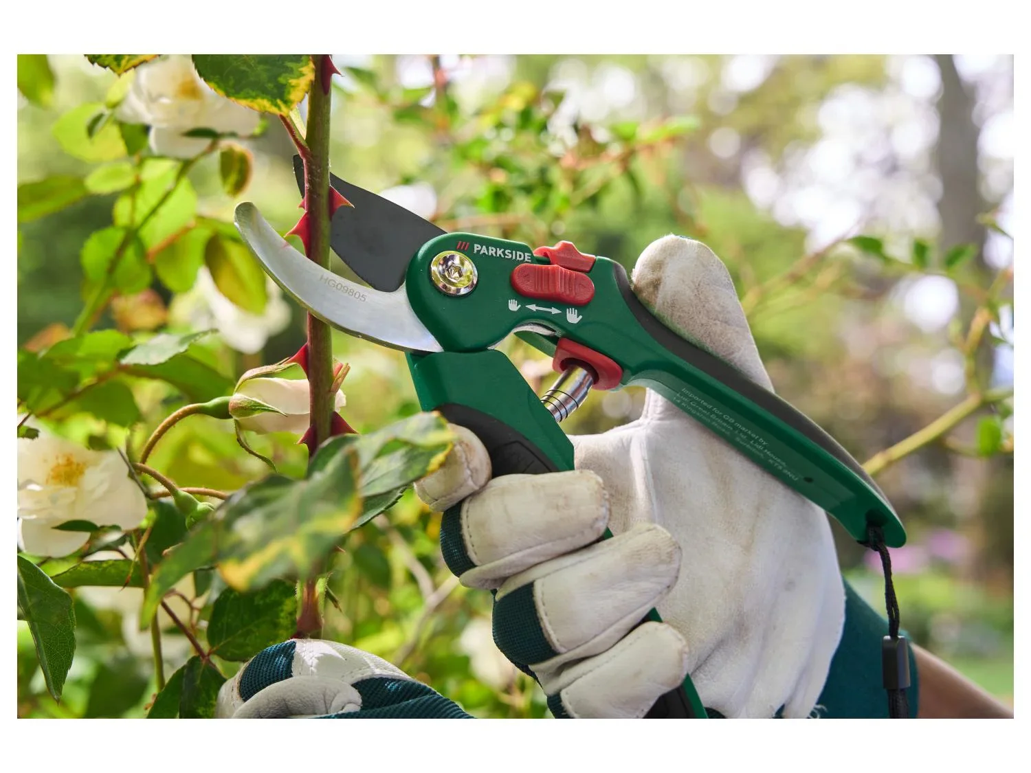 PARKSIDE Scateur