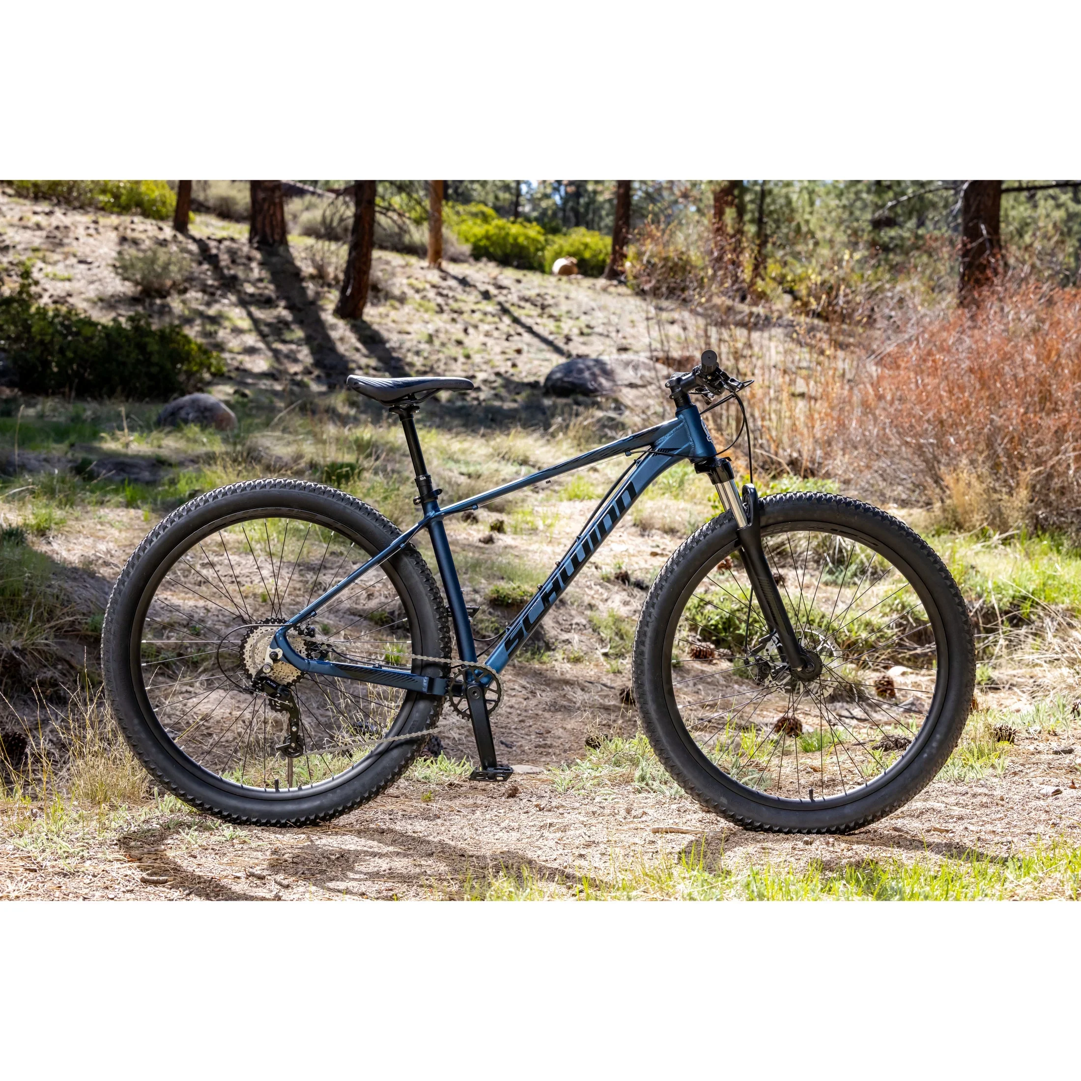 Schwinn Axum DP 29 inch Mens Mountain Bike, 19 inch Frame Adult Bicycle, Red