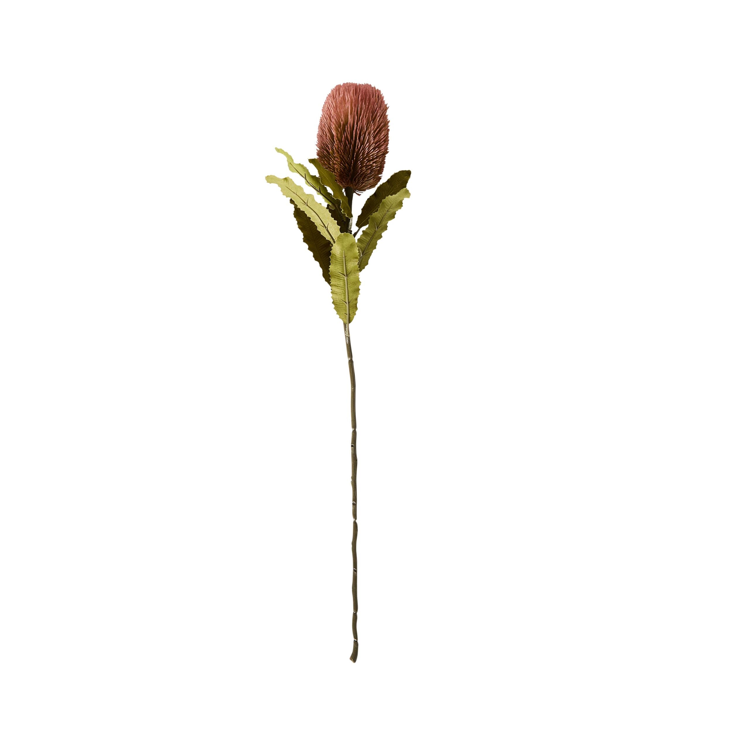 Bloomery Banksia Stem Pink 65cm