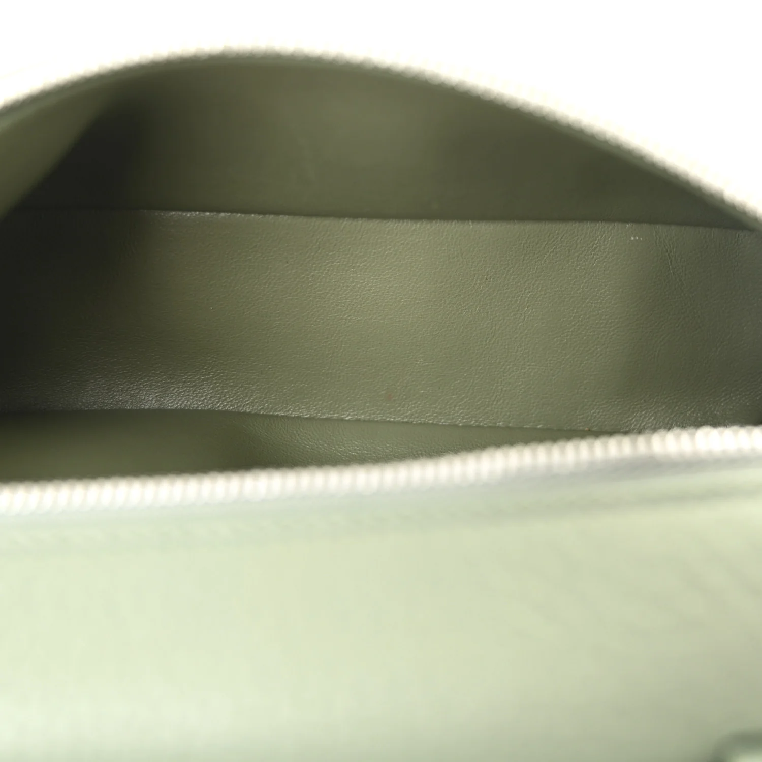 Grained Calfskin L19 Extra Pocket Pouch Sage Brush Leaves