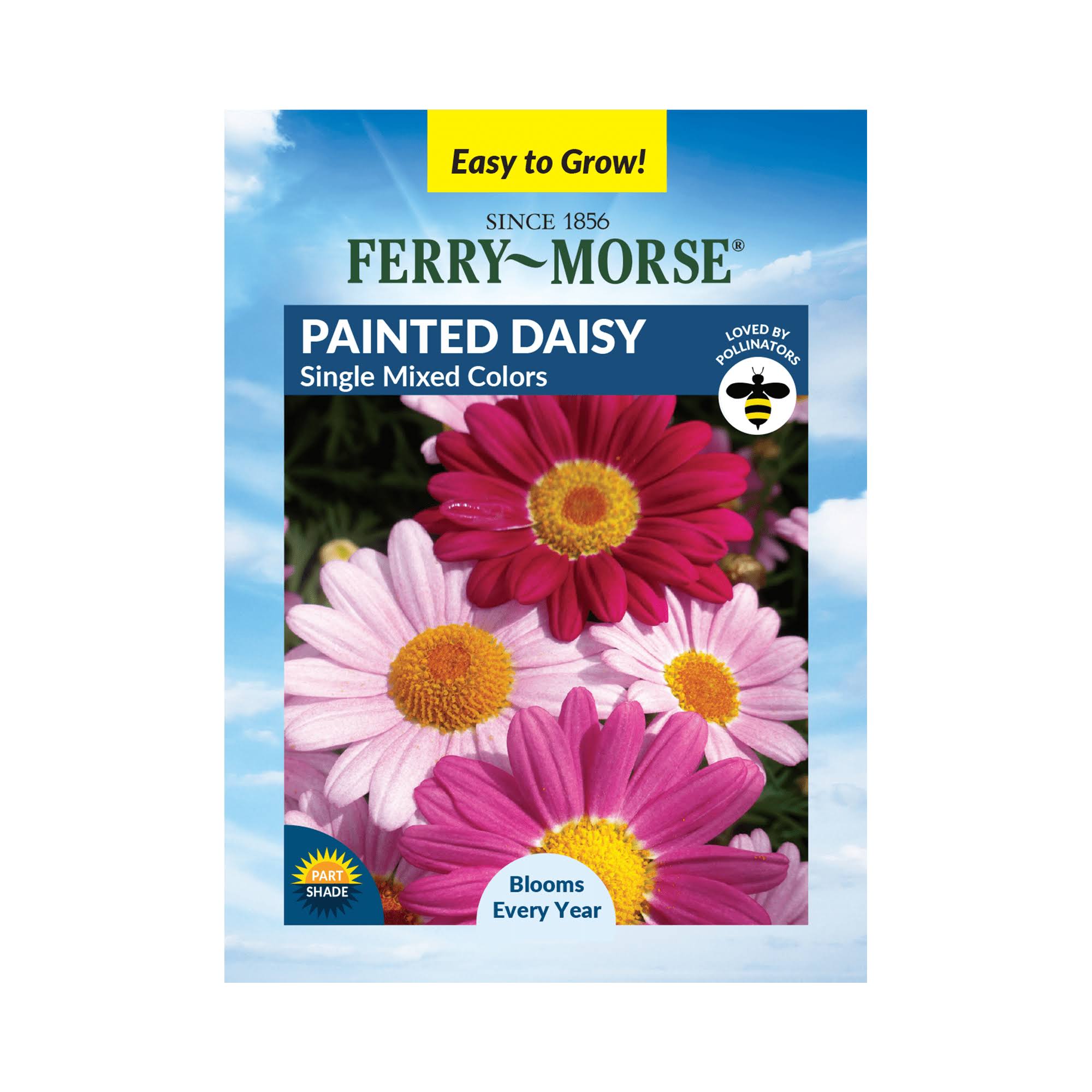 Ferry-Morse 120mg Painted Daisy Single Mixed Colors Perennial Flower Seeds Full Sun