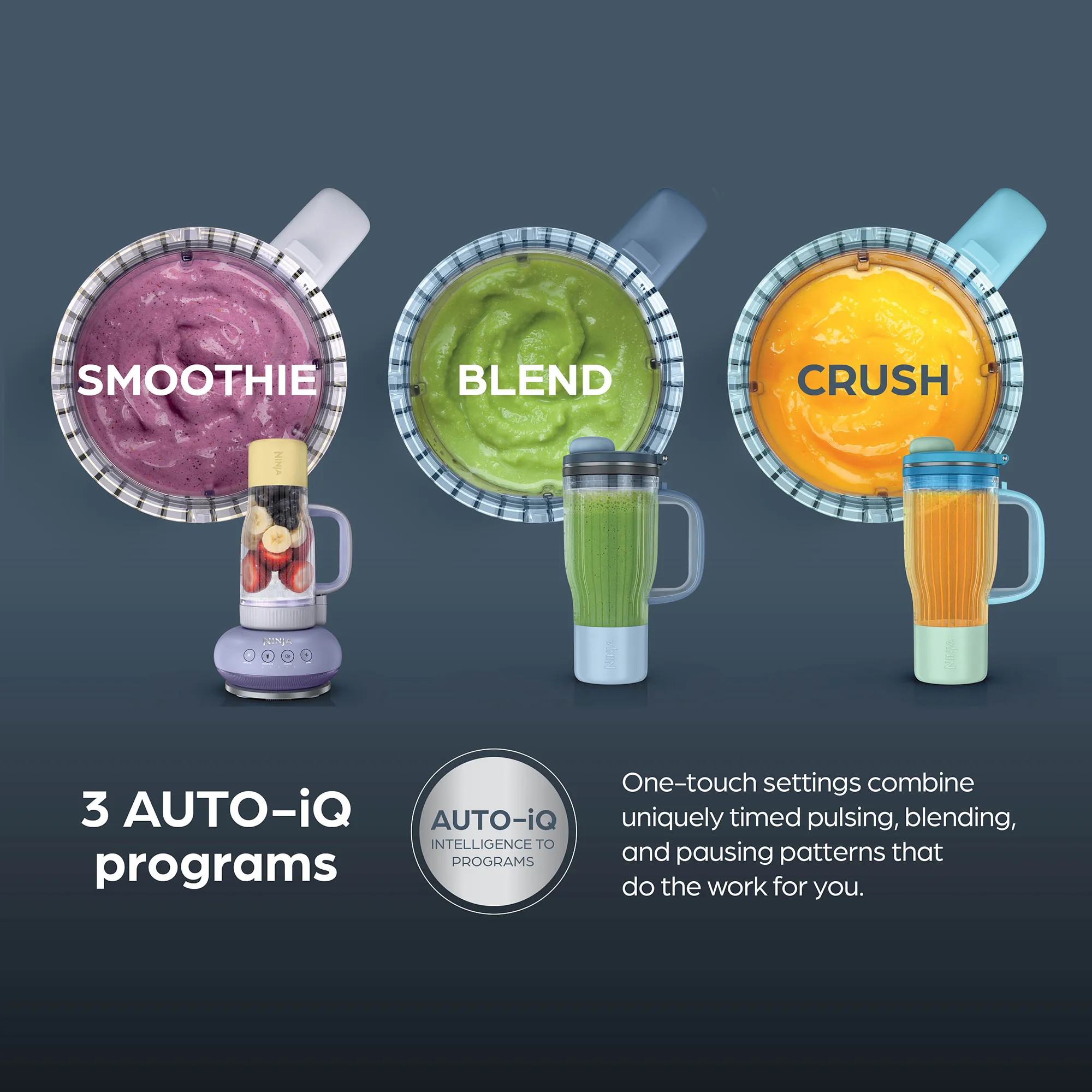 Ninja BlendBOSS Tumbler Blender