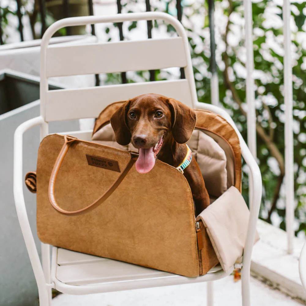Vogue Eco-friendly Multi-functional Cat&Dog Carrier Pet Travel Bag - City Roamer