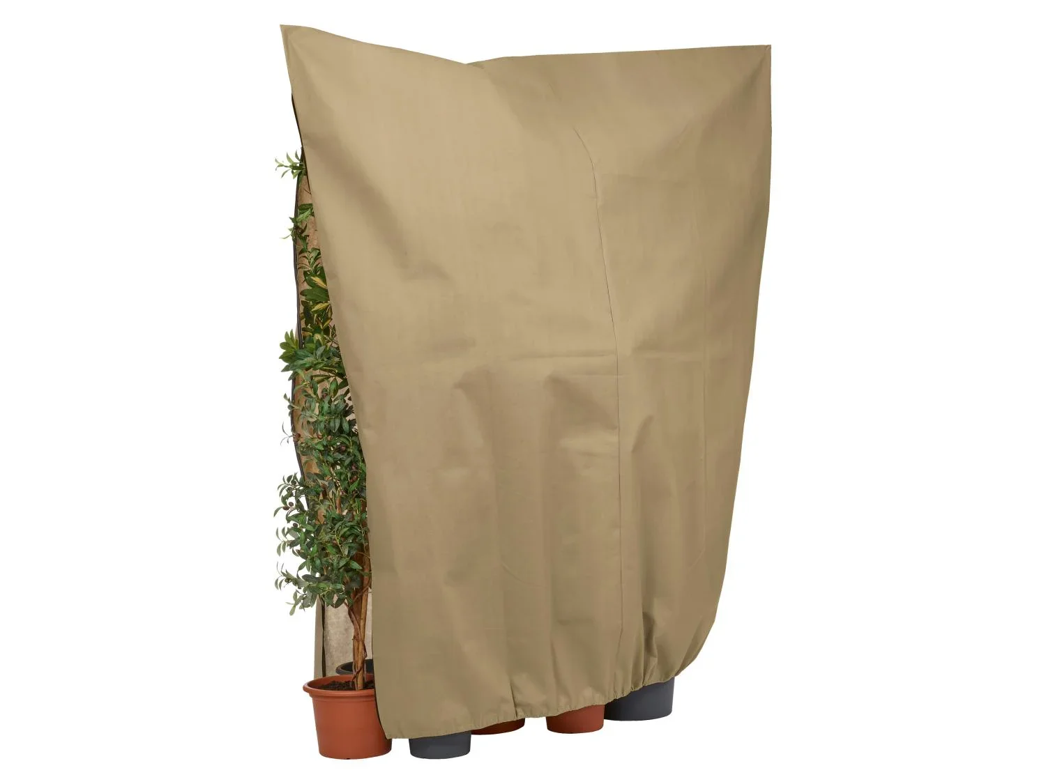 PARKSIDE Housse(s) de protection pour plantes en non-tiss