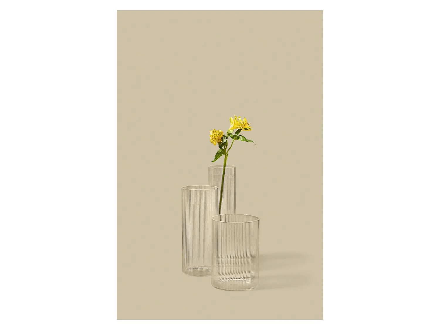 LIVARNO Set de 3 vases