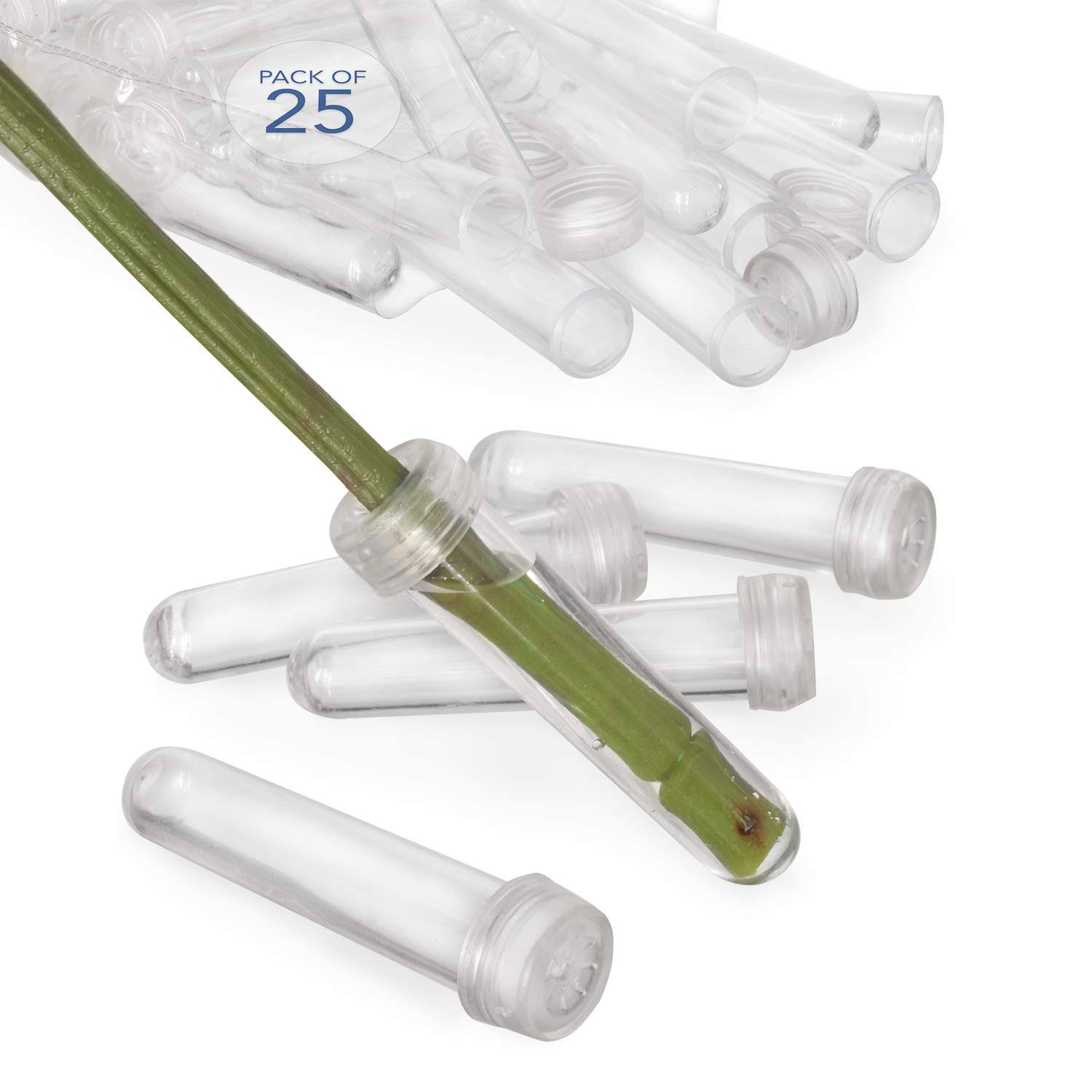 Royal Imports Floral Water Tubes/Vials for Flower Arrangements, Clear 3