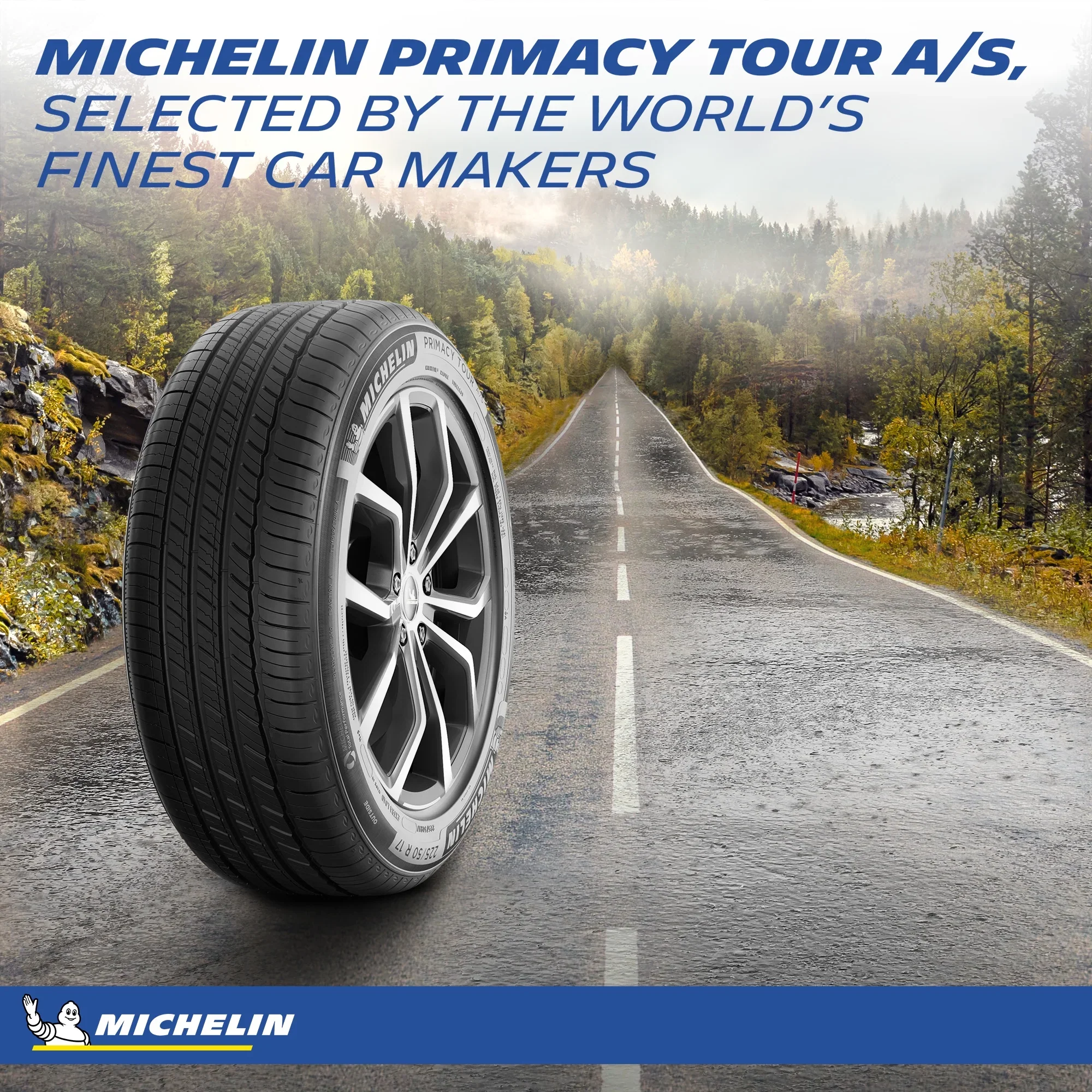 Primacy All-Season 225/65R17 102H Tire