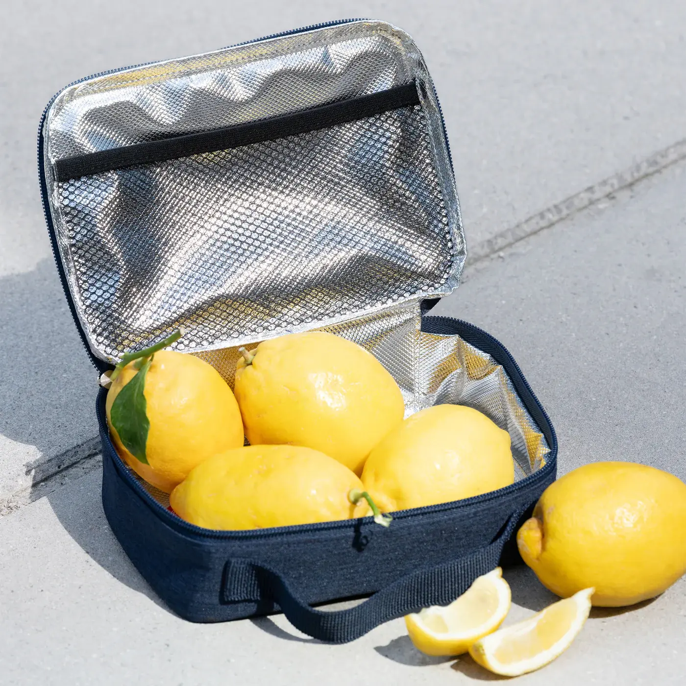 thermocase twist navy