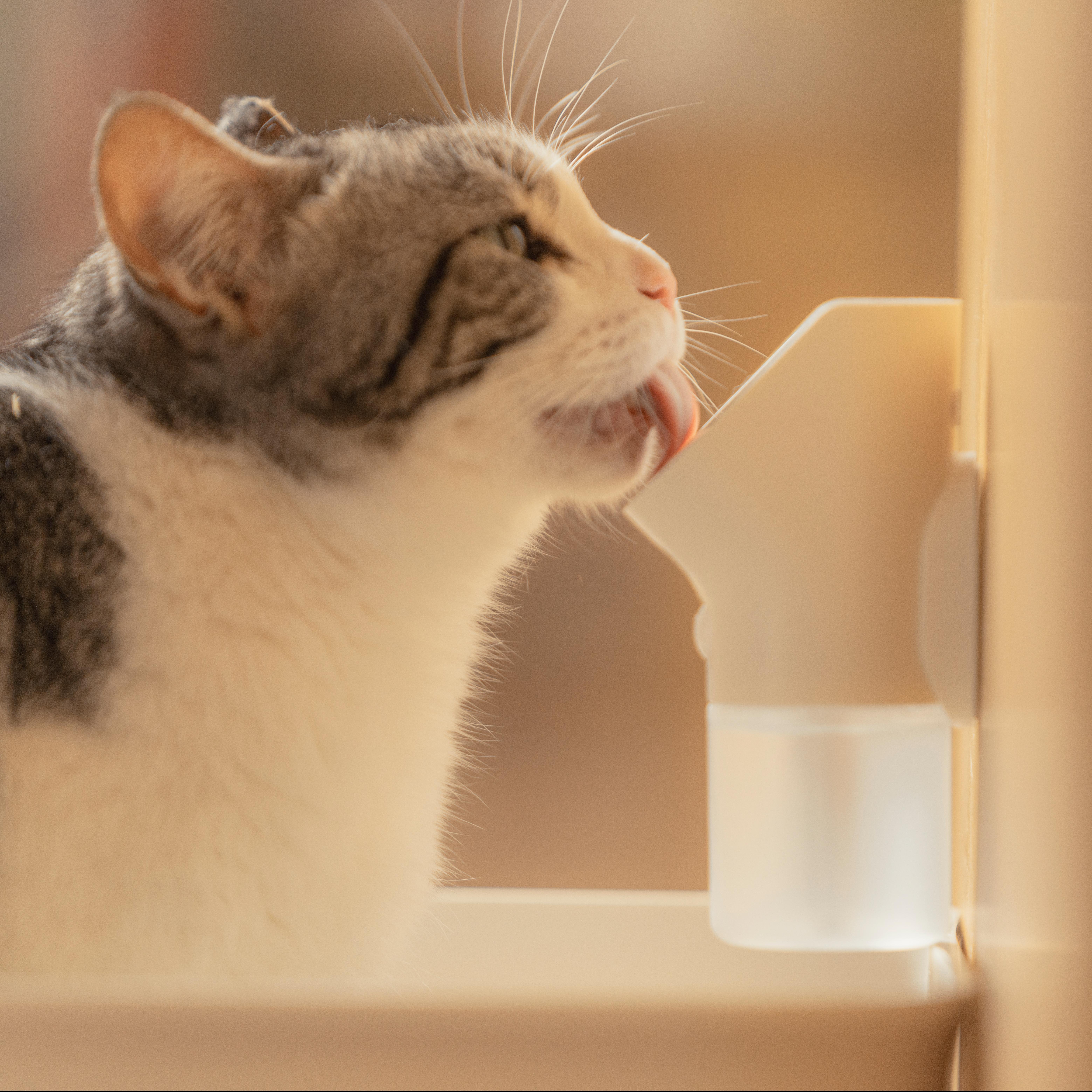 Indoor Rechargeable Smart Odour Remover