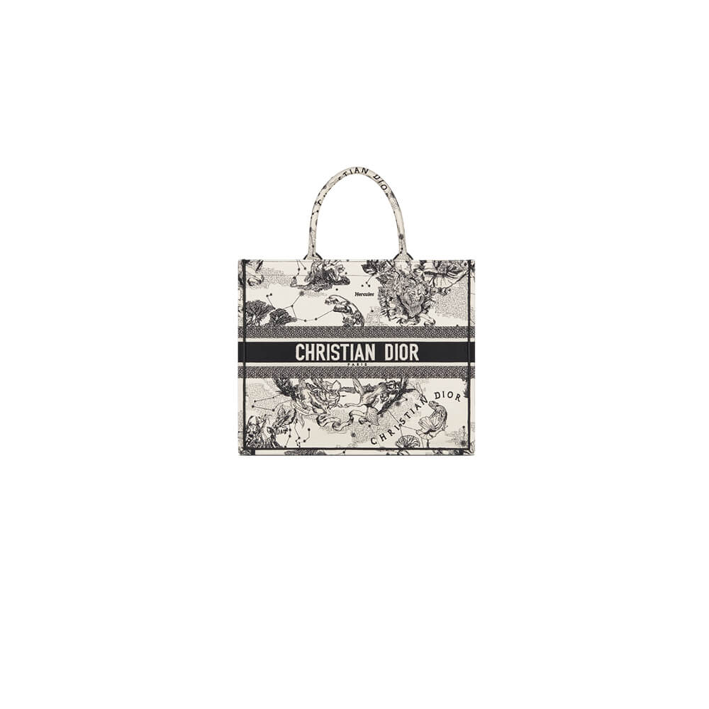 LARGE DIOR BOOK TOTE
