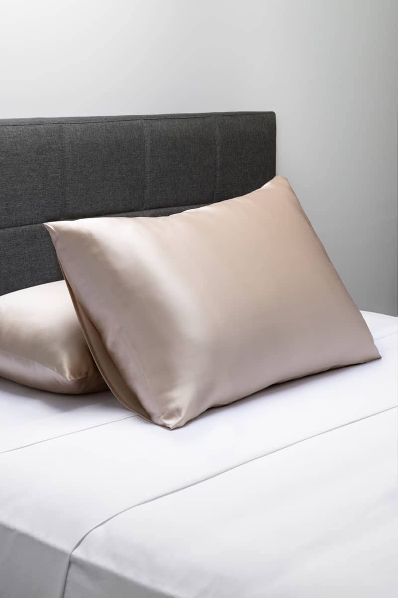 Fishers Finery 25mm 100% Pure Mulberry Silk Pillowcase, Good Housekeeping Winner (Taupe, Queen)