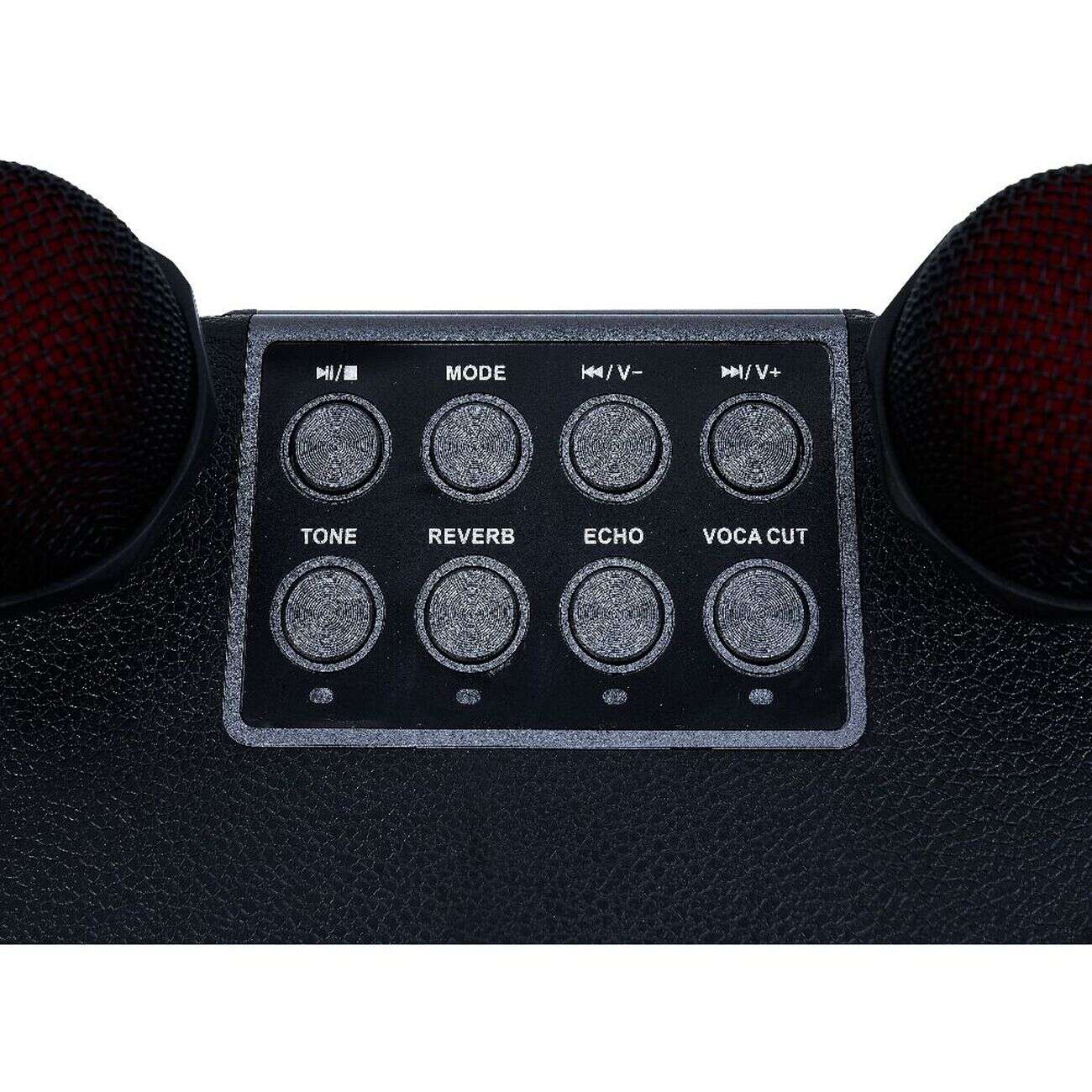 Enceinte karaoké 2 micros Homday Party