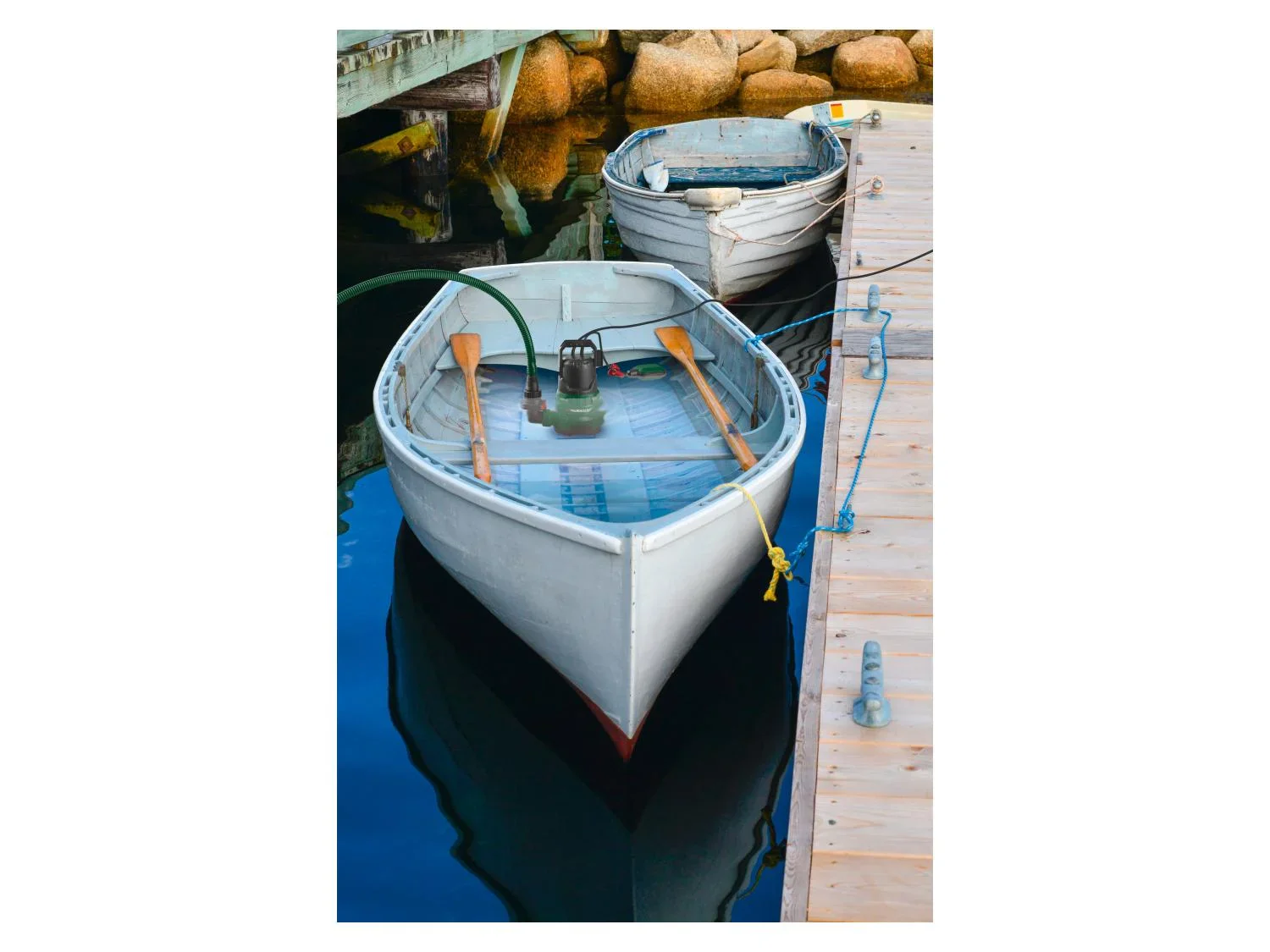 PARKSIDE Pompe  eau claire immerge PETPK 400 B2, 10000 L/h
