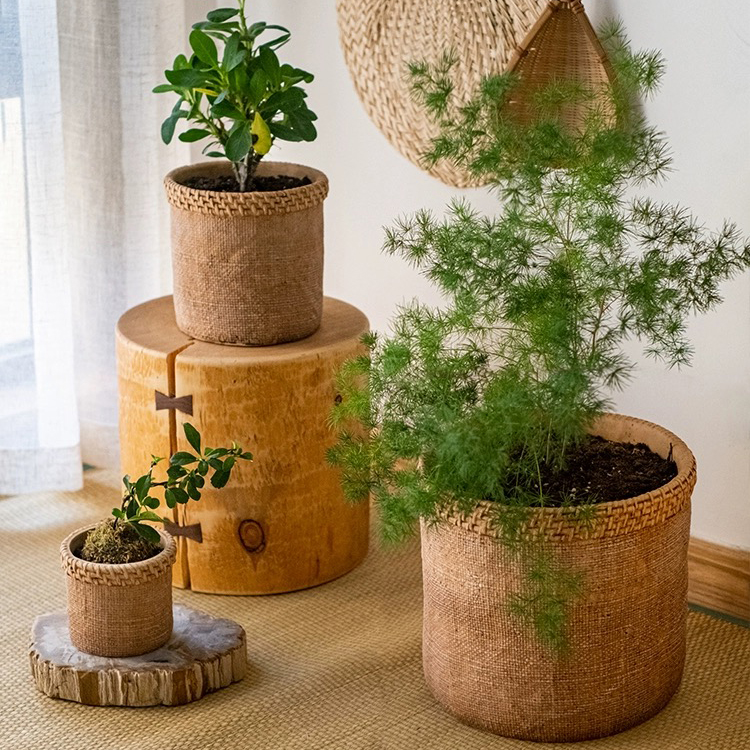 Choosing the right pot size