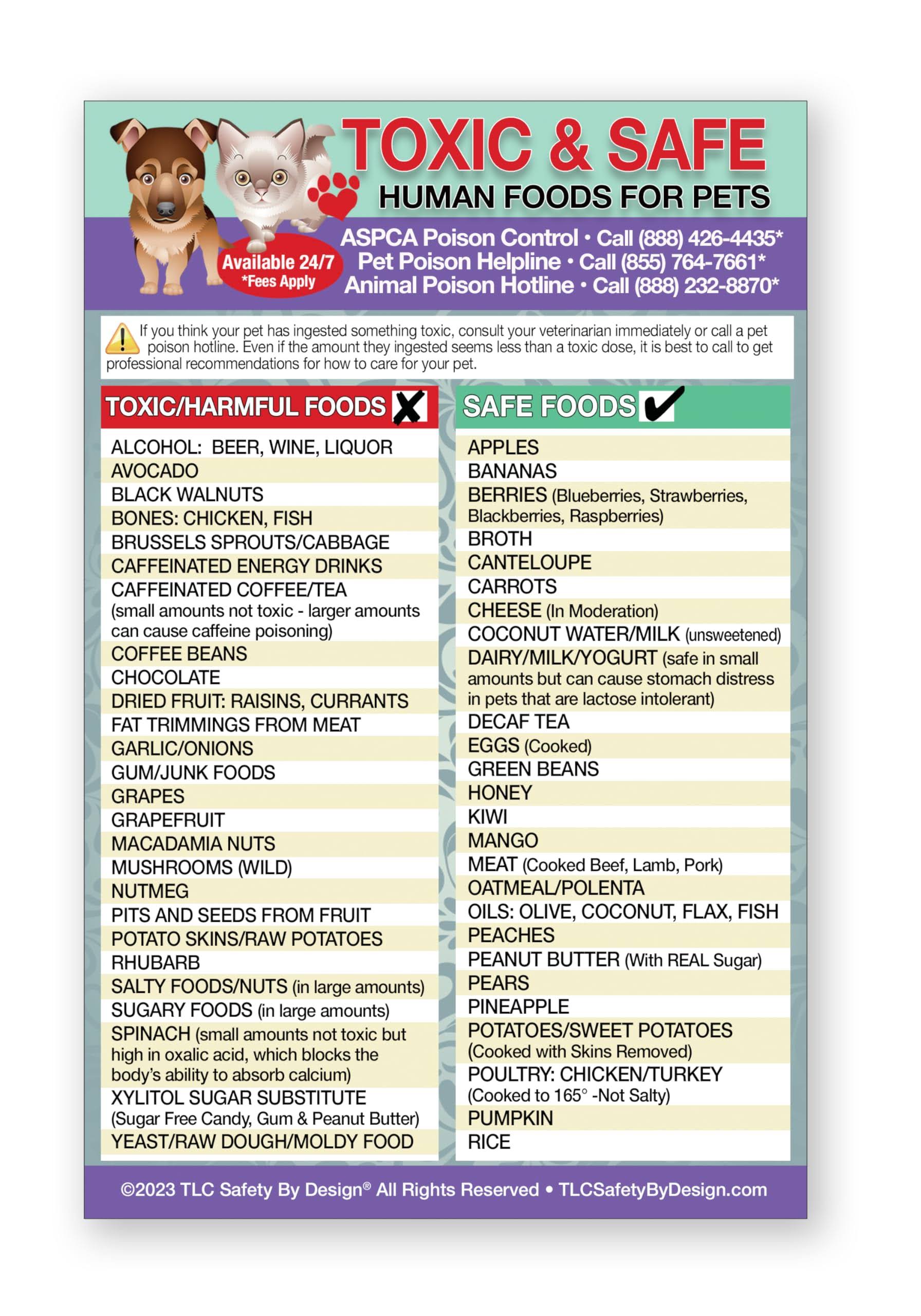 TLC Safety by Design Enhanced Toxic and Safe Foods Trademarked Poison for Pets Dogs Cats Emergency Home Alone 5 x 7 Veterinarian Approved Refrigerator