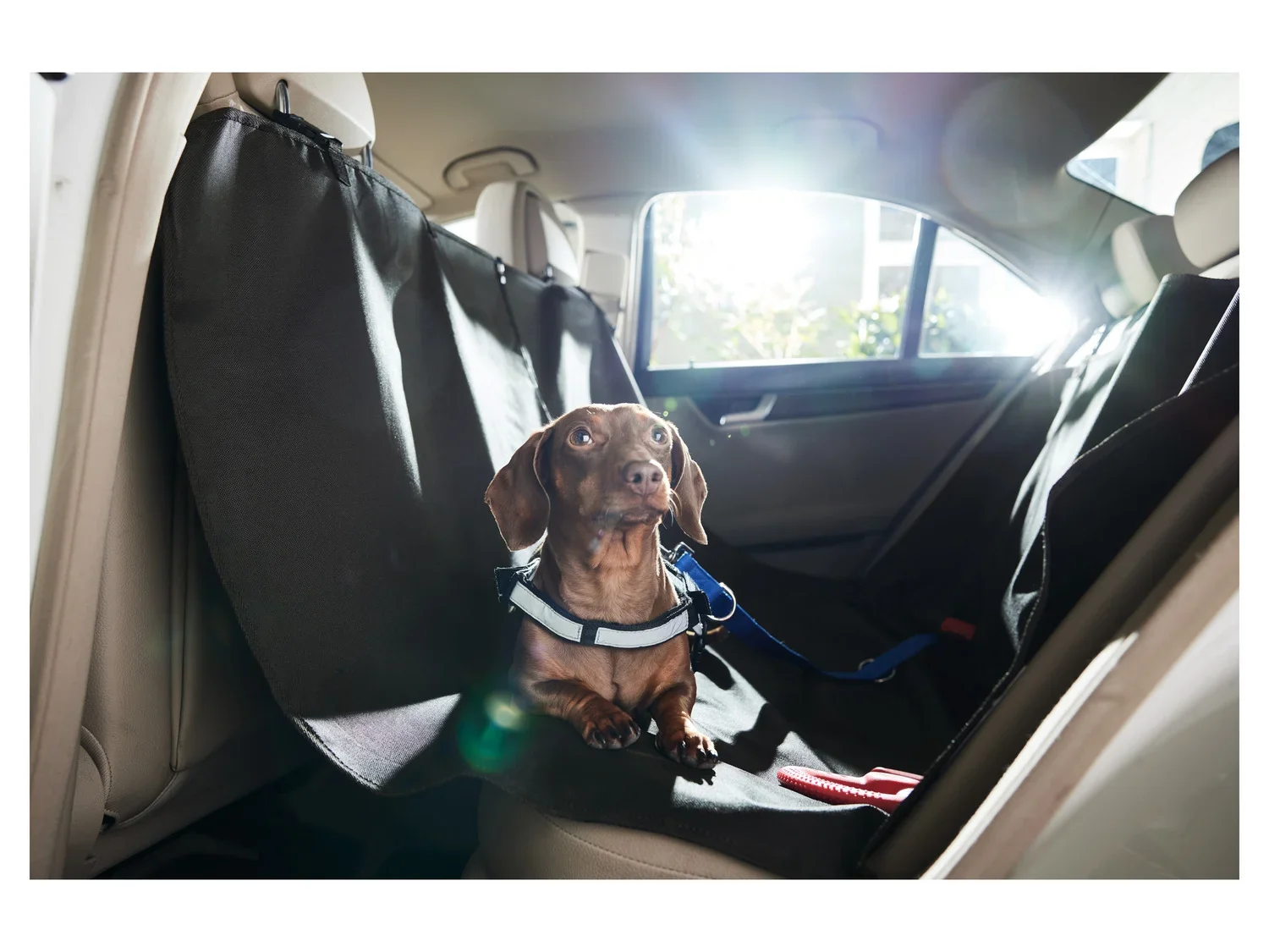 zoofari Housse de protection de voiture pour chien