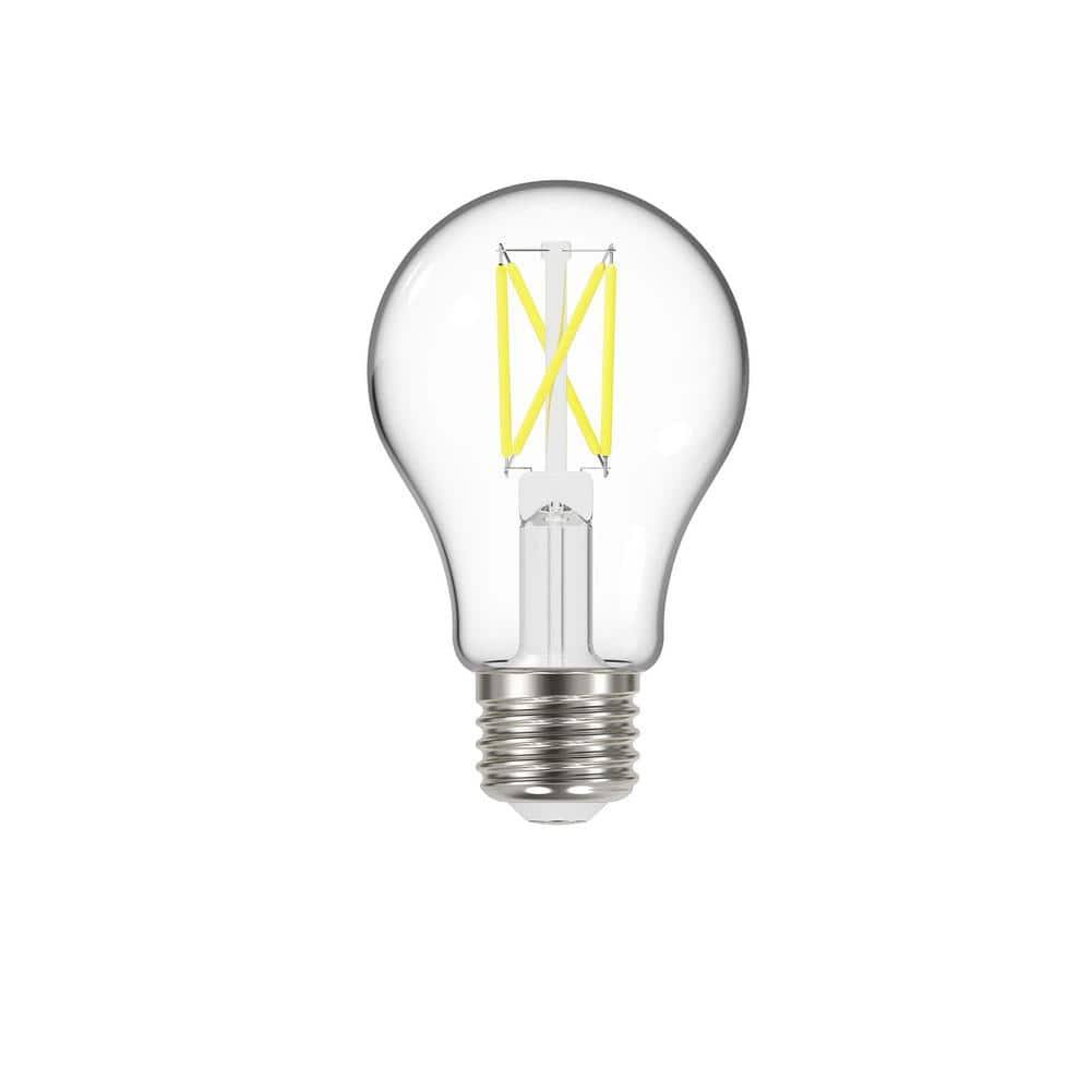 Ecosmart 60-Watt Equivalent A19 Dimmable Clear Glass Filament LED Light Bulb Soft White (4-Pack)