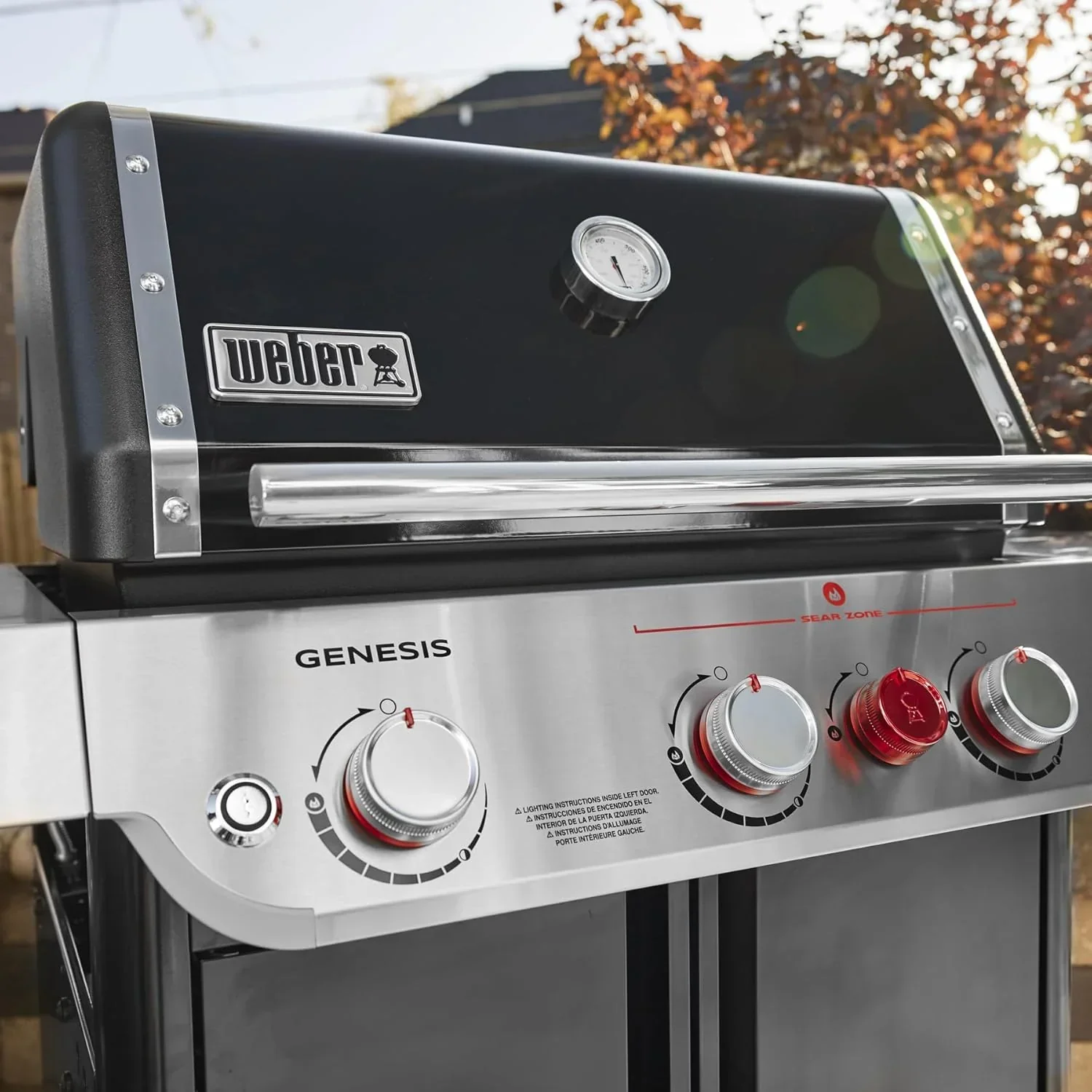 Weber Genesis E-325 Gaz liquide noir