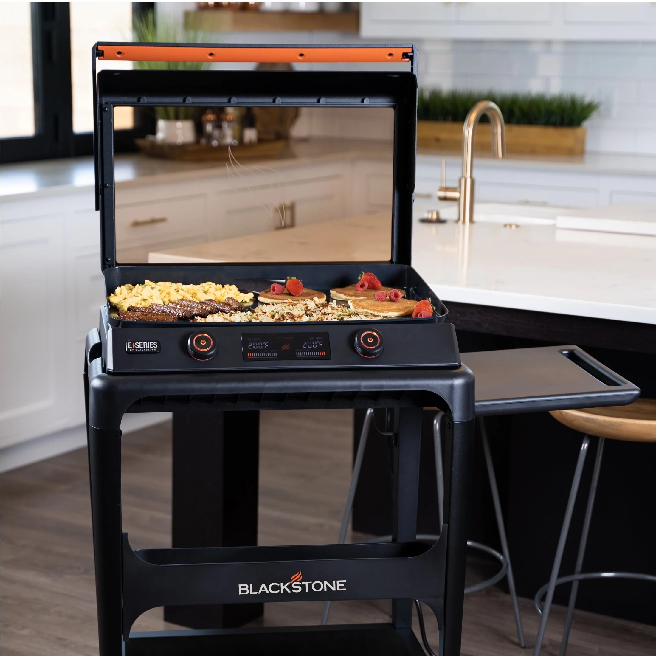 Blackstone E - Series 2 - Burner 22