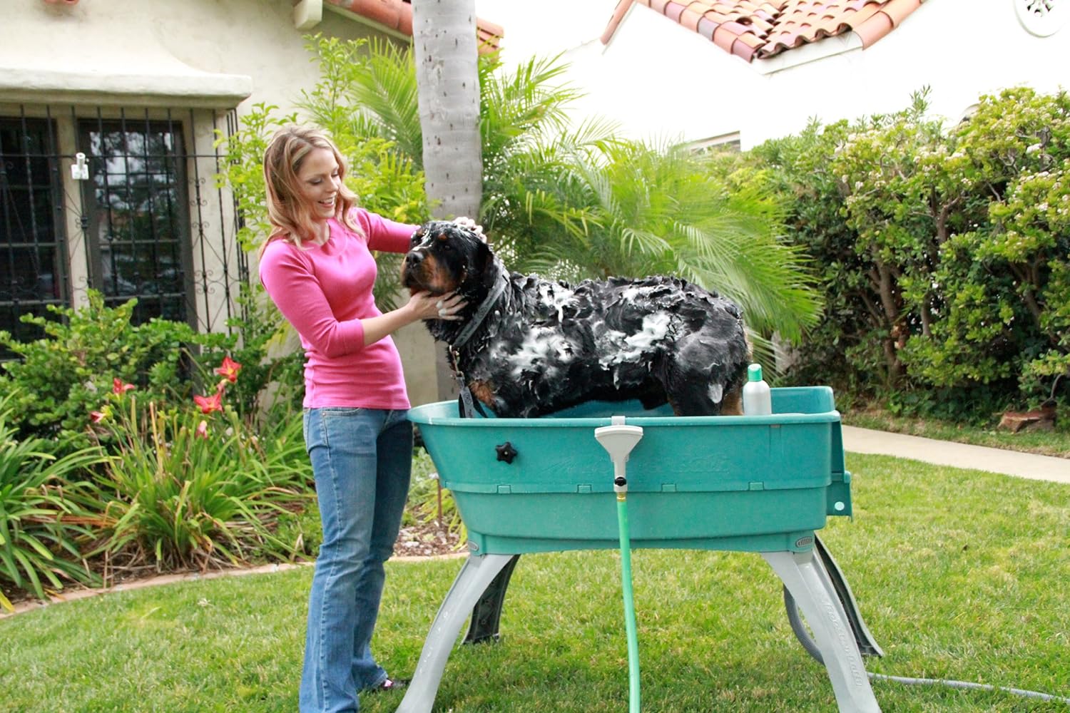 Baignoire surélevée pour animaux de compagnie, grand escalier turquoise combiné