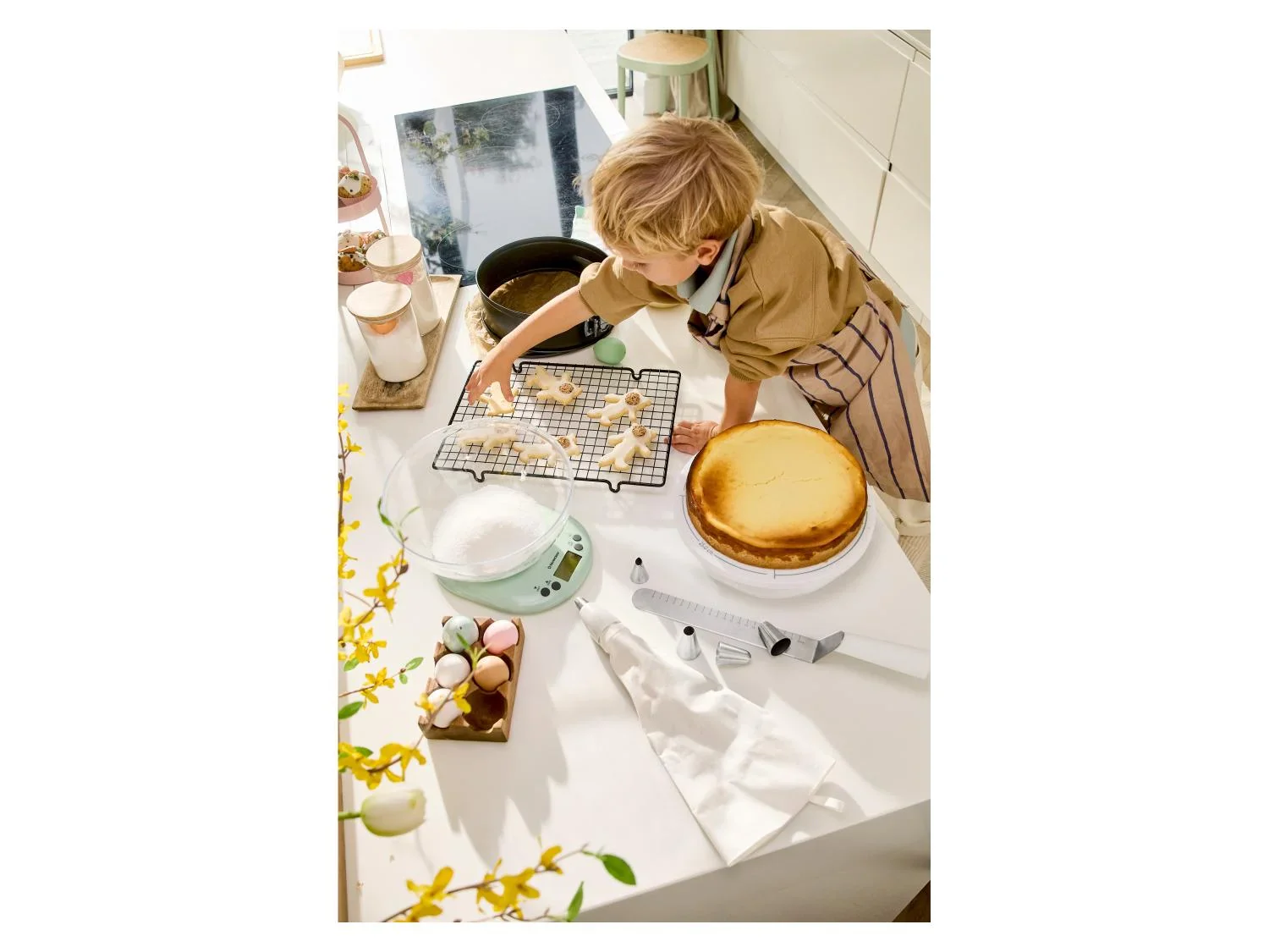 SILVERCREST Grilles de cuisson et de refroidissement
