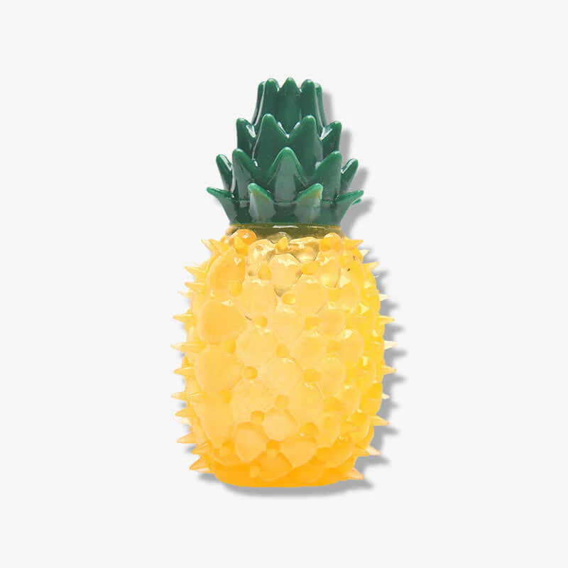 Teething Rubber Water-filled Frozen Fruit Shape Dog Toys