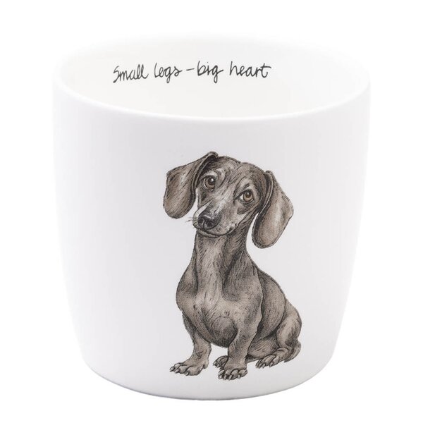 Moments of calm krus 30 cl hund
