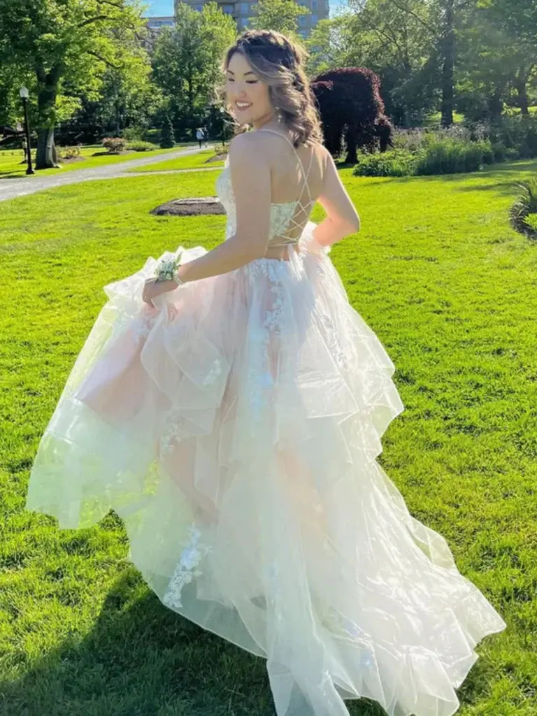 Princess A Line V Neck Lace Appliques Long Prom Dresses, Evening Party Dresses DMP347