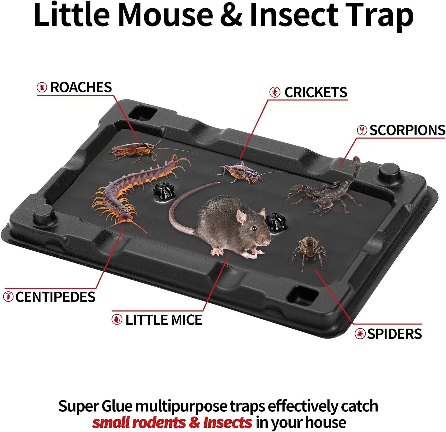 LULUCATCH Mouse & Insect Traps 12 Pack, Heavier Sticky Traps with Non-Toxic Glue for Small Mice & InsectsSticky Mouse Traps Indoor for Home, Easy to Set