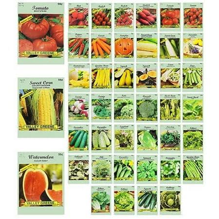 Set of 43 Assorted Vegetable & Herb Seeds - Create A Deluxe Garden All Seeds Are Heirloom - 100% Non-GMO - Heirloom