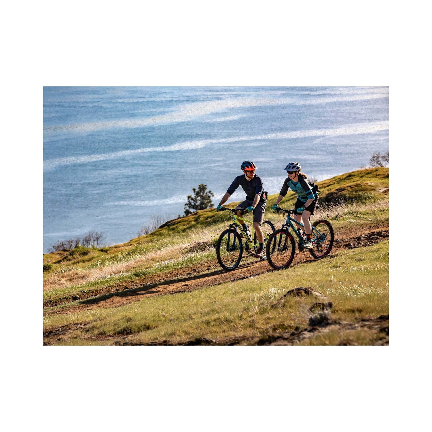 Schwinn High Timber Bike Women's ATB, White Image 8
