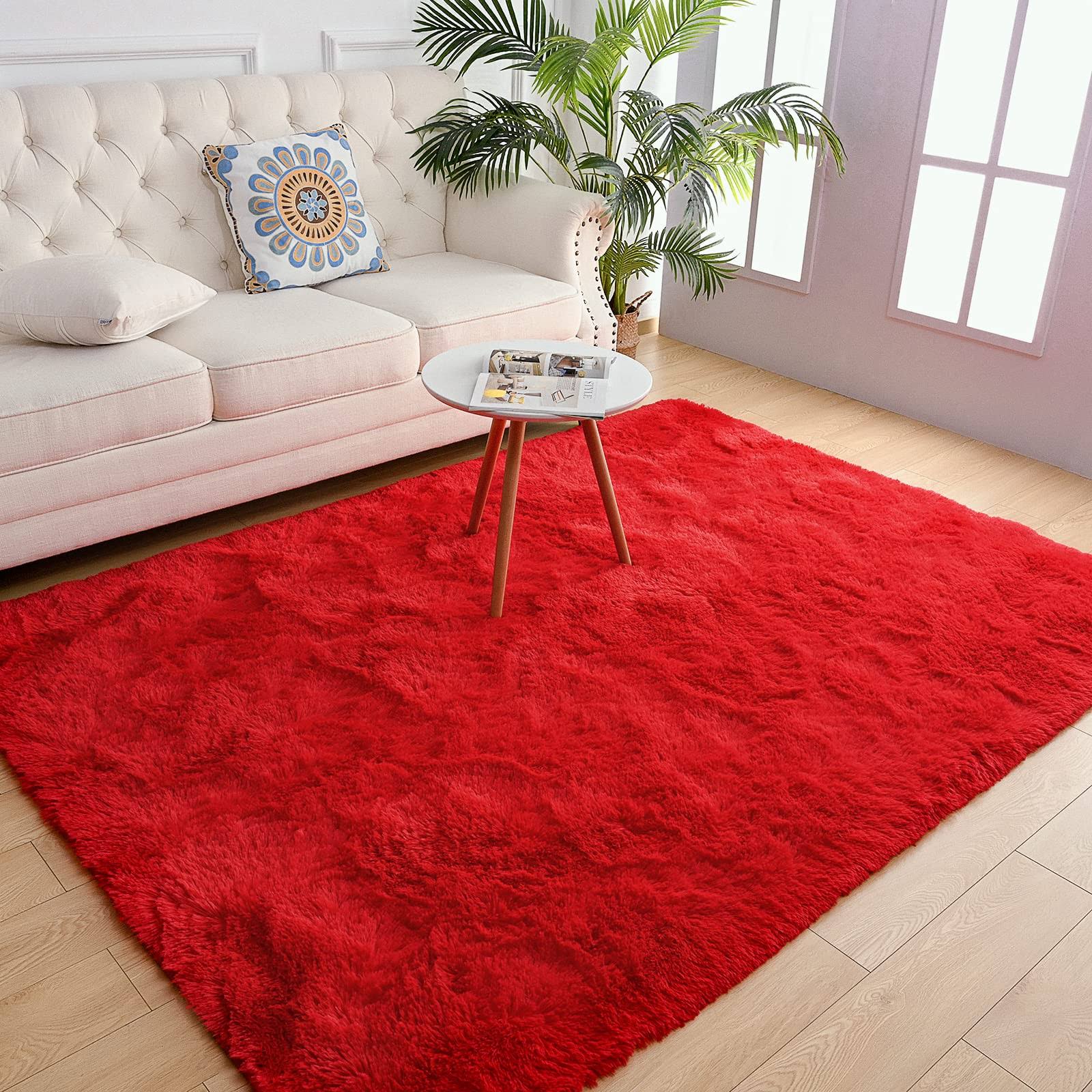 Chicrug Soft Area Rug for Bedroom Living Room Plush Fluffy Rug 3x5 Feet, Shag Furry Runner Rug Carpet Non Shedding for Nursery Children Kids Girls