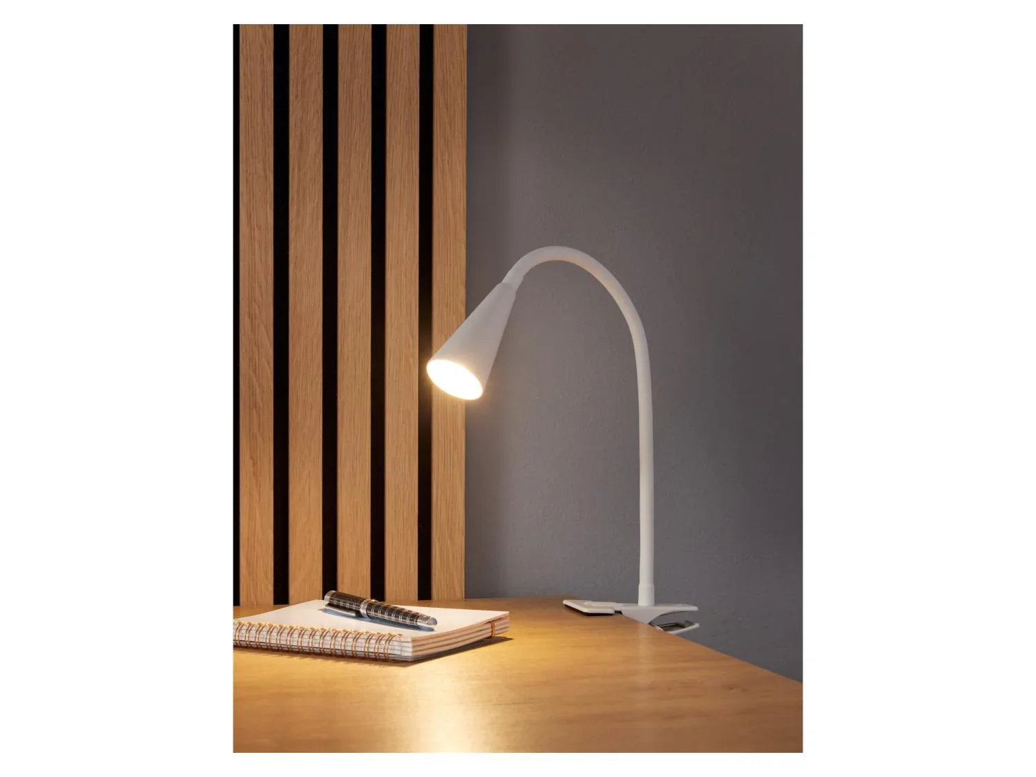 LIVARNO home Lampe LED  pince