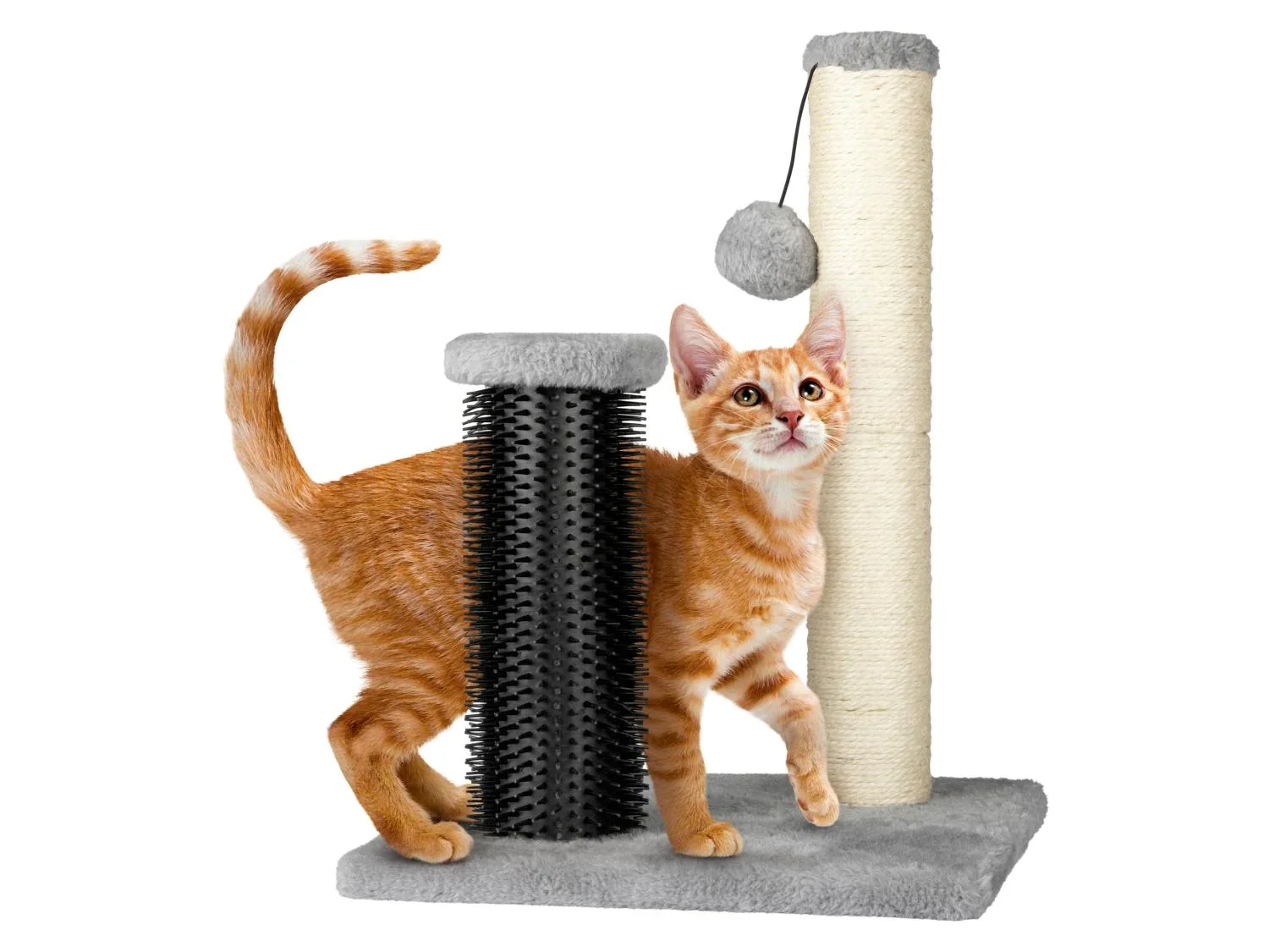 zoofari Griffoir avec planche ou brosse de massage