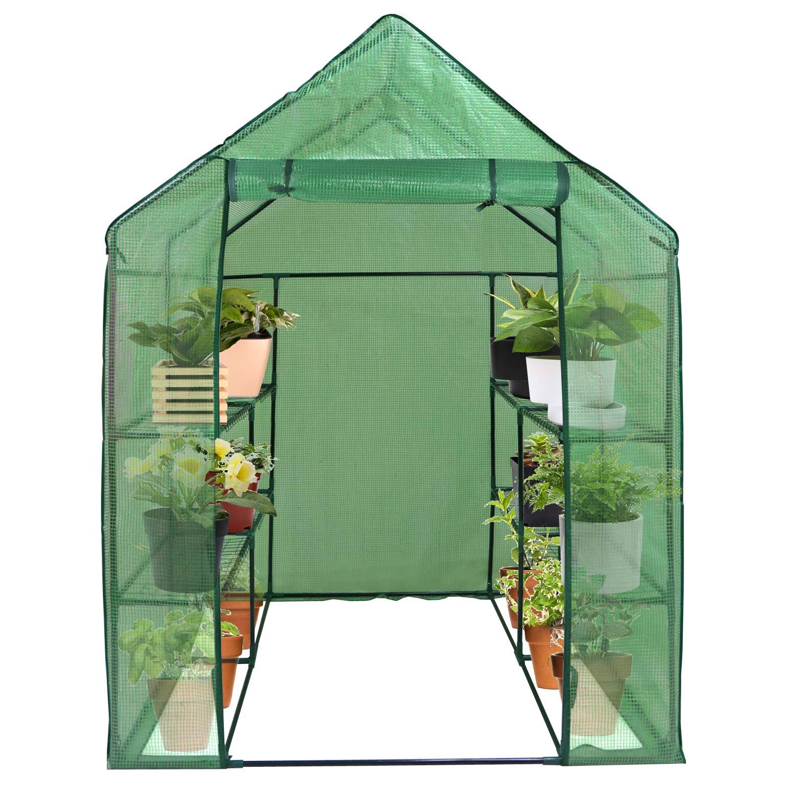 Lemy Mini Walk-In Greenhouse 2-Tier 8-Shelf Indoor Outdoor Plant Gardening Green House w/PE Cover for Garden, Backyard L57�GW57�GH77