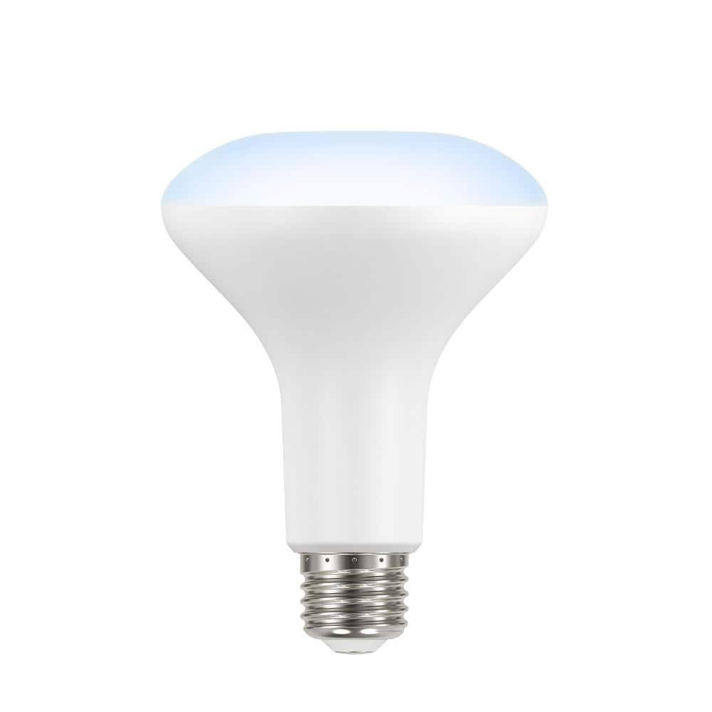 Ecosmart 65-Watt Equivalent BR30 Dimmable LED Light Bulb Daylight (6-pack)