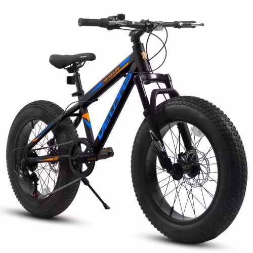 20 Inch Fat Tire Bike Adult 7 Speed Mountain Bike, Dual Disc Brakes, High Carbon Steel Frame, Front Suspension, Mountain Buggy, City Commuter City Bike, Fat Tire Bike Black