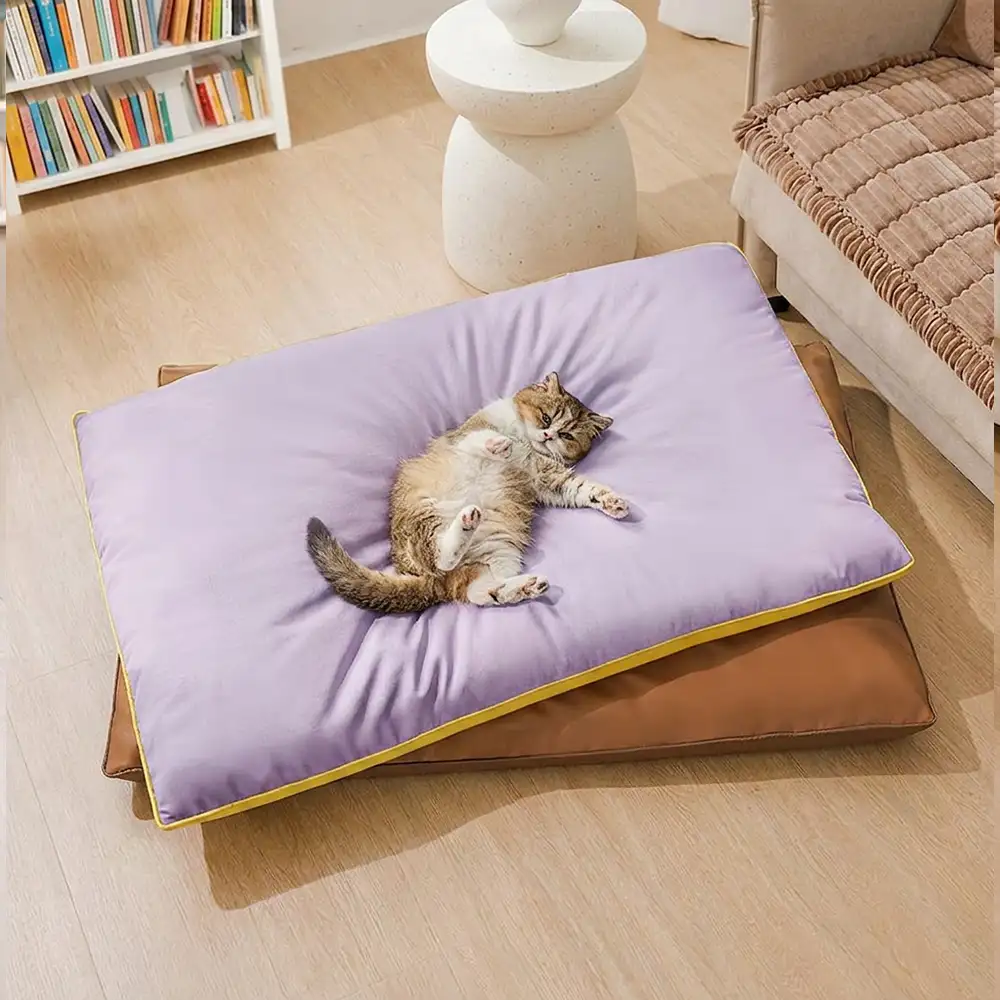 Water-Repellent Scratch-Resistant Double-Sided Washable Dog Mat