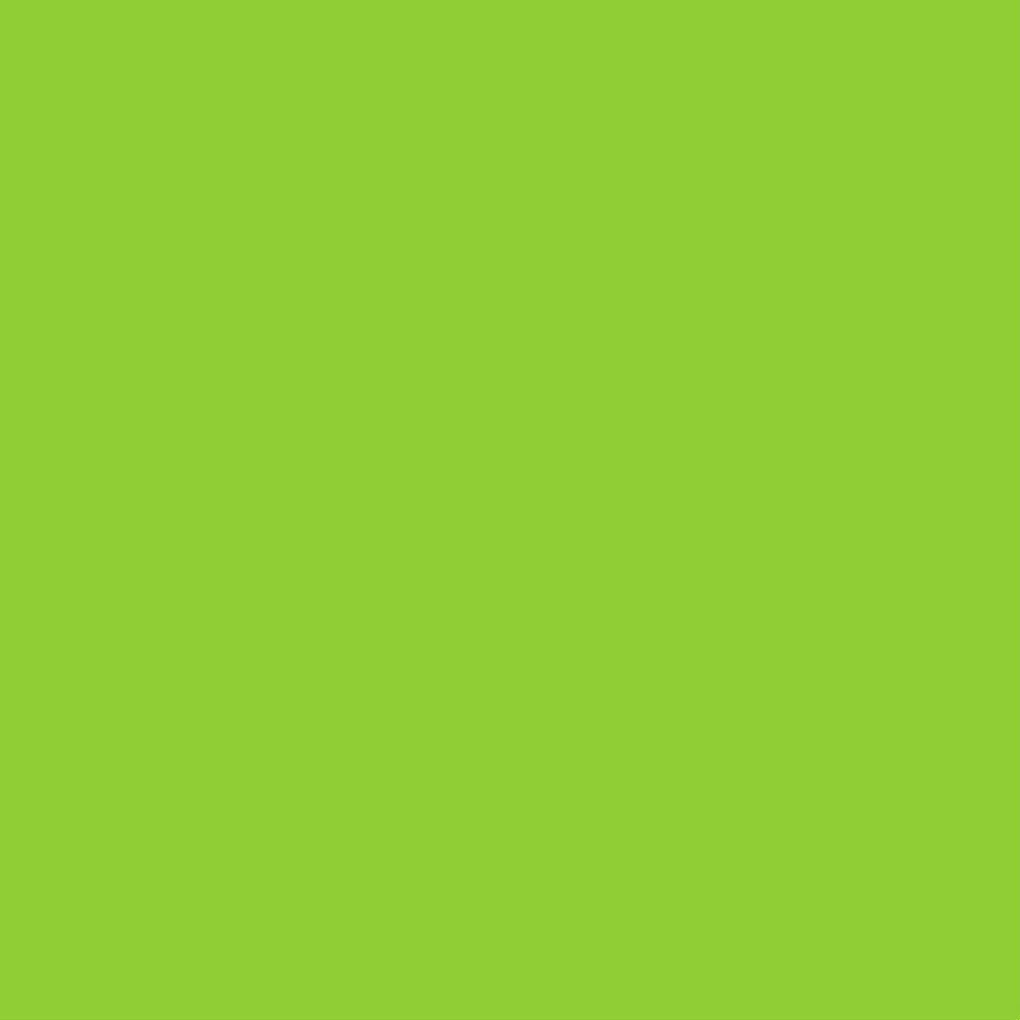 Lifetime Guster 10 Sit - Inside Kayak - Lime Green (90527)