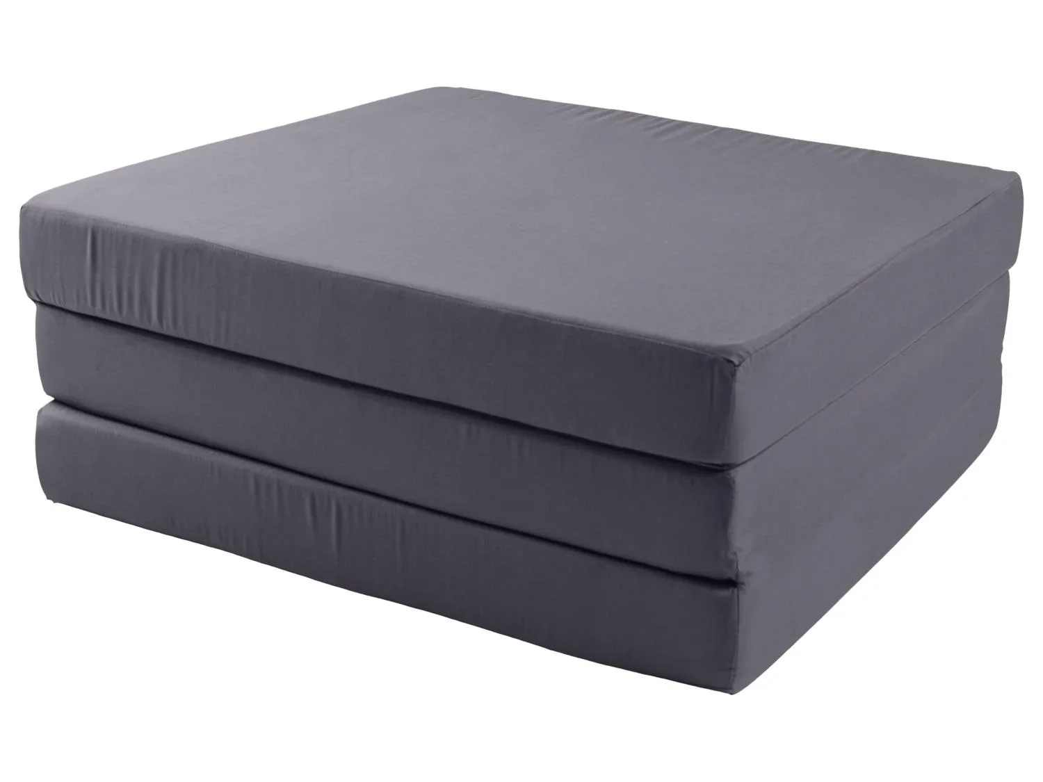 LIVARNO Matelas pliant 2-en-1, 190 x 65 cm